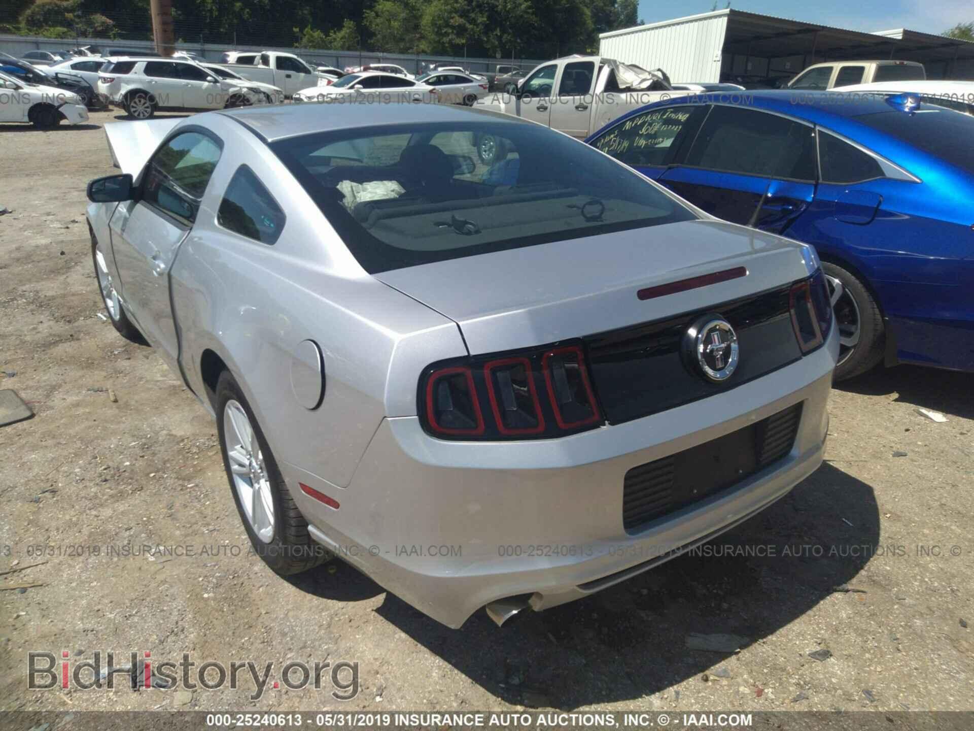 2014 FORD MUSTANG - VIN: 1ZVBP8AM0E5251998 - Фото 3