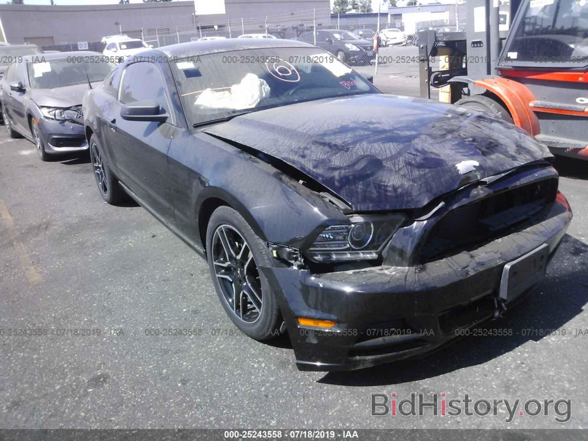 Photo 1ZVBP8AM2E5245670 - FORD MUSTANG 2014