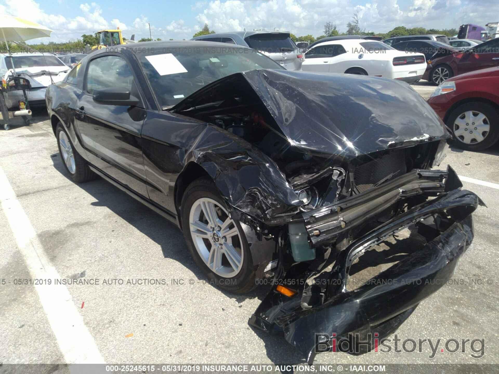 Photo 1ZVBP8AM9D5281323 - FORD MUSTANG 2013