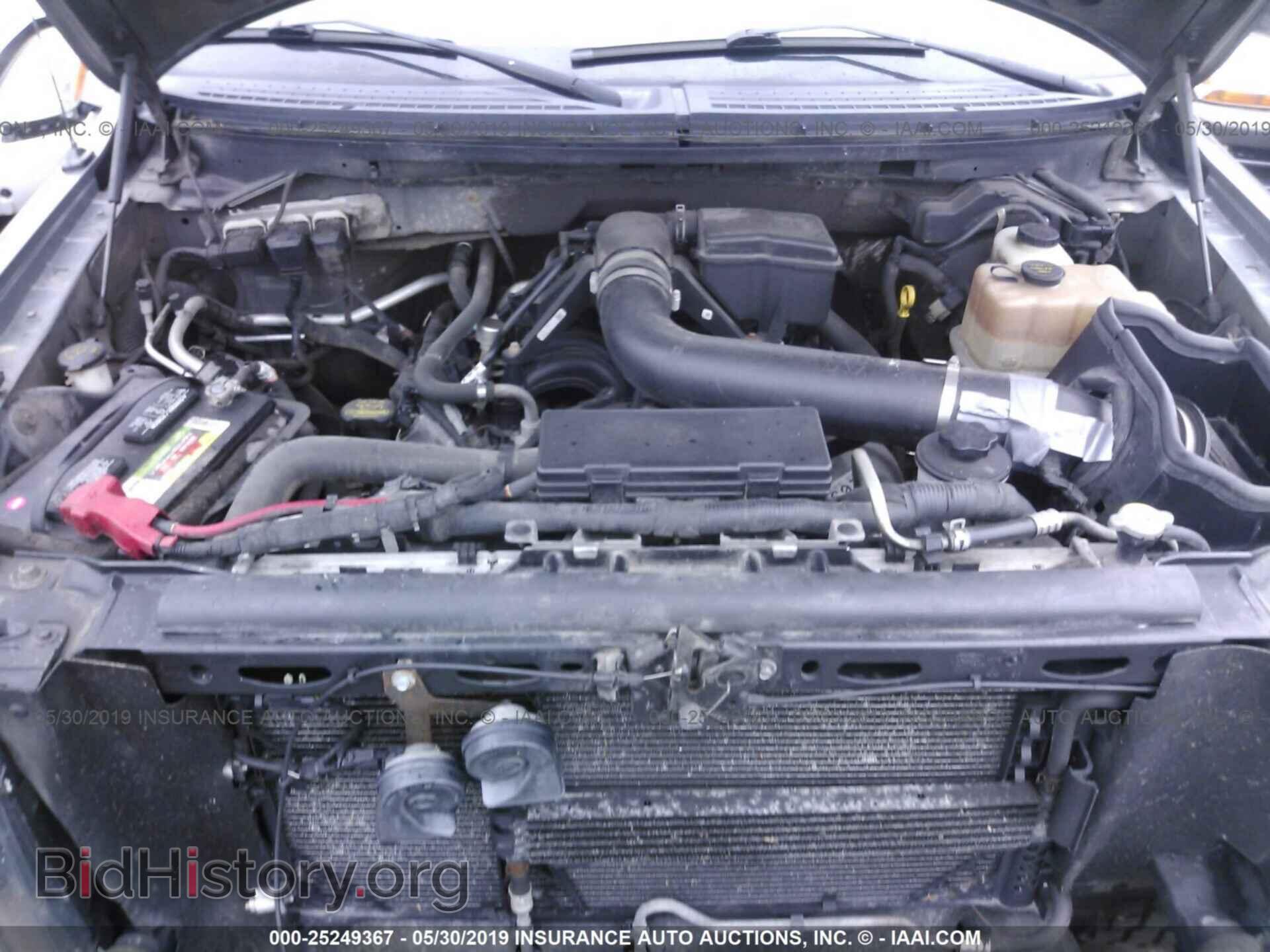 2010 FORD F150 - VIN: 1FTFW1EVXAFD44954 - Фото 10