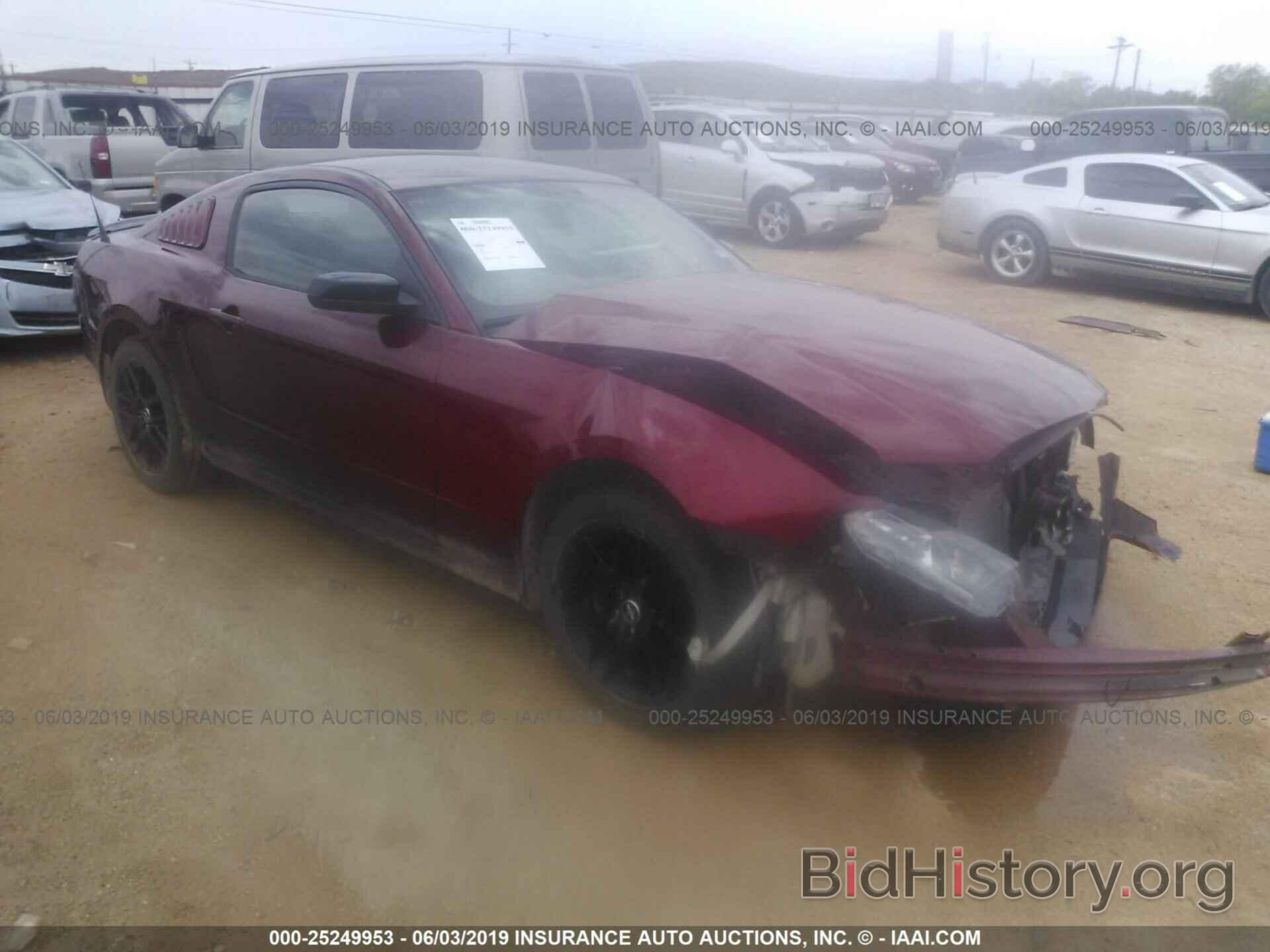Photo 1ZVBP8AM9E5245231 - FORD MUSTANG 2014