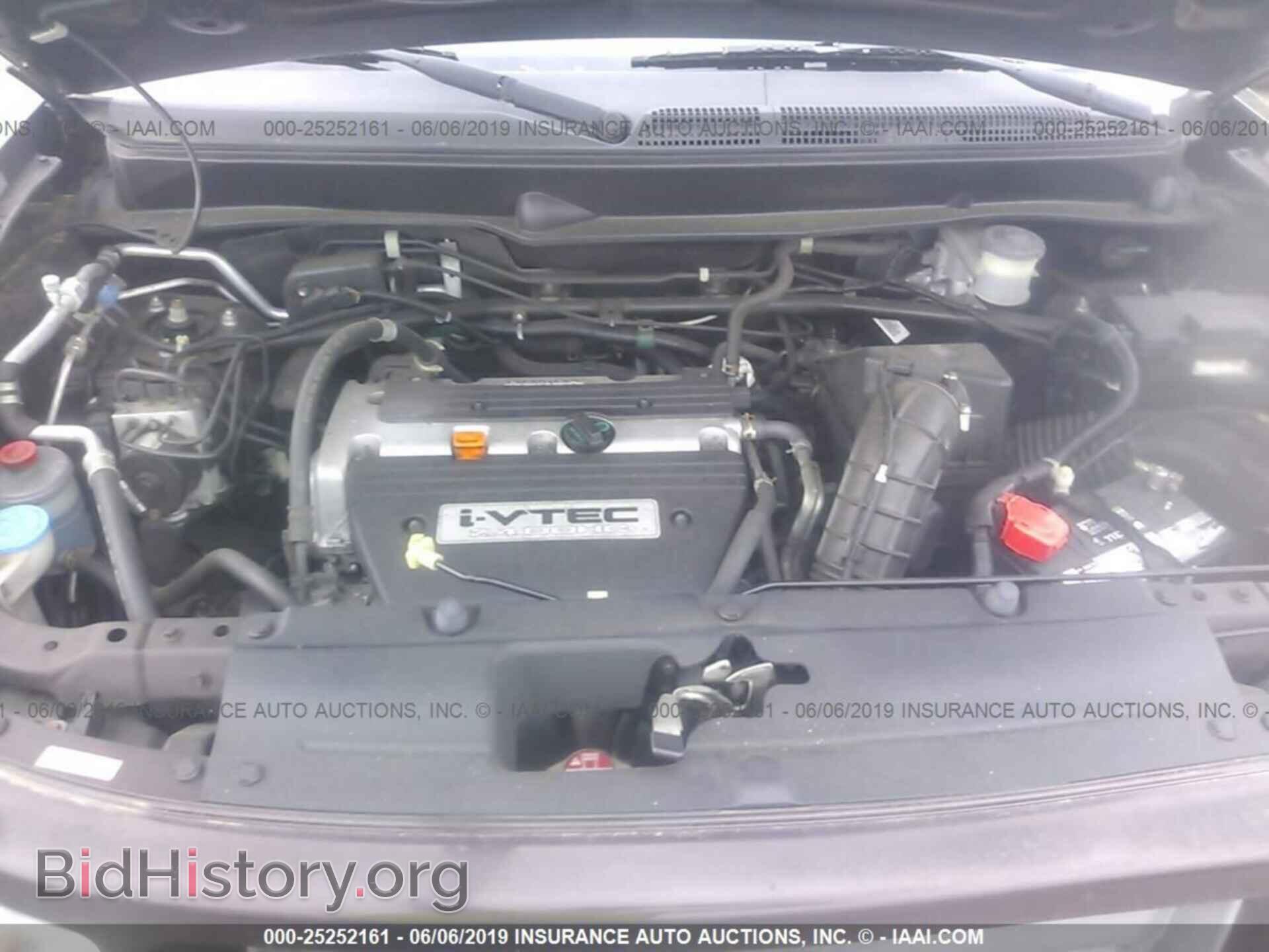 2008 HONDA ELEMENT - VIN: 5J6YH18998L012317 - Фото 10