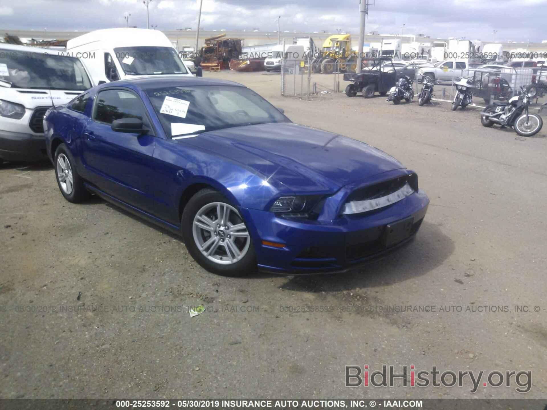 Photo 1ZVBP8AM2E5251632 - FORD MUSTANG 2014