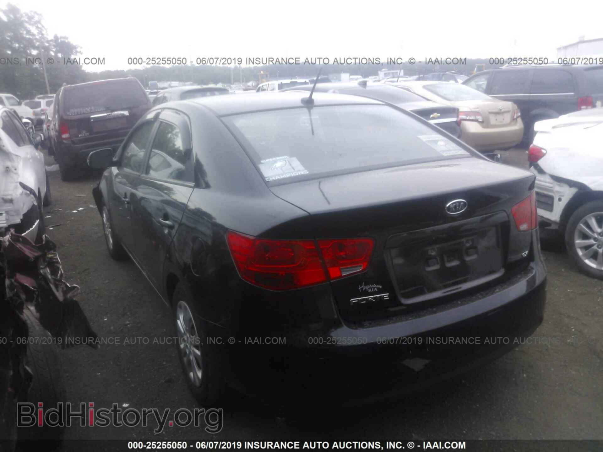 2012 KIA FORTE - VIN: KNAFU4A2XC5638380 - Фото 3
