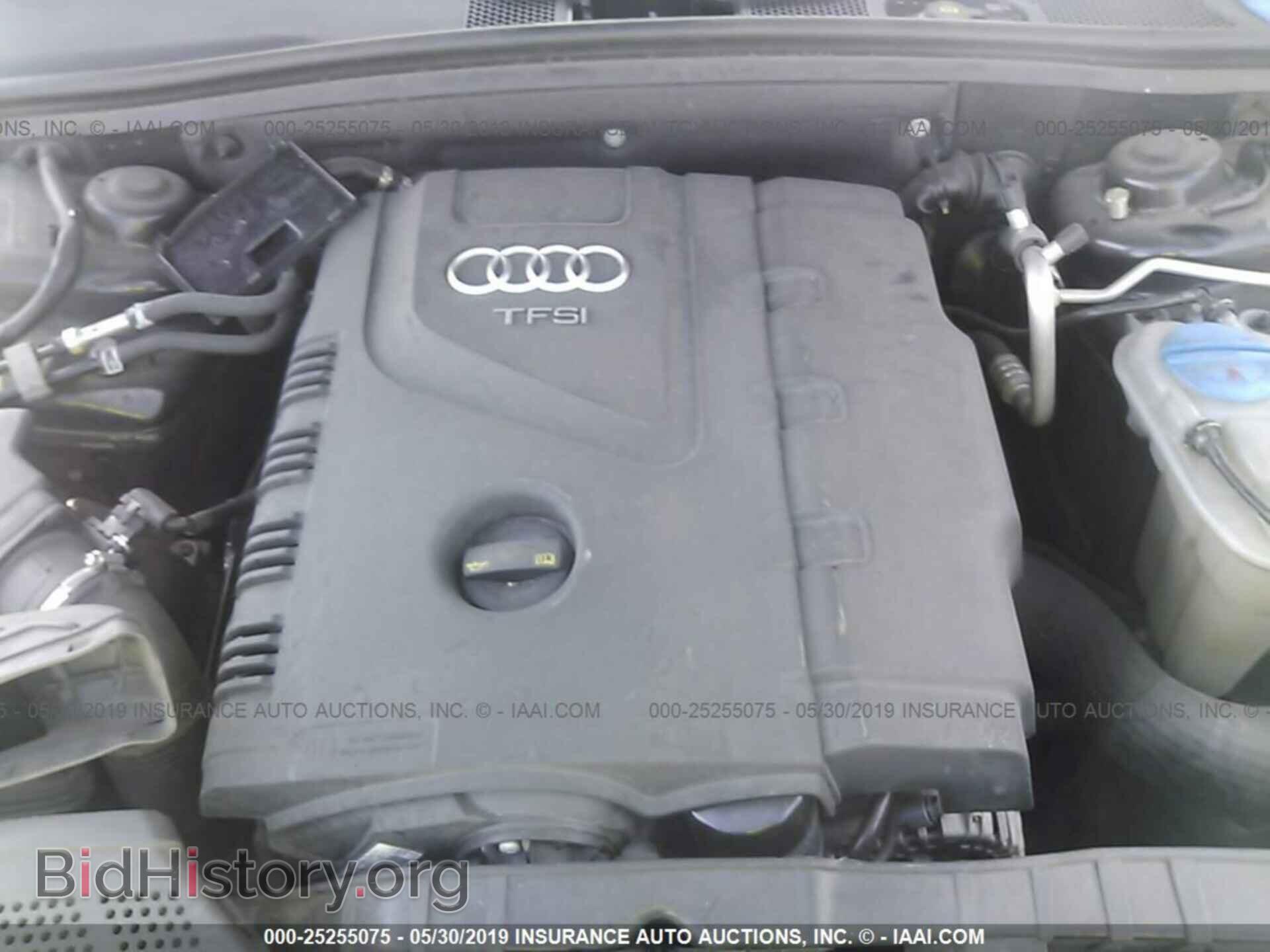 2014 AUDI A5 - VIN: WAUCFAFH3EN005943 - Фото 10