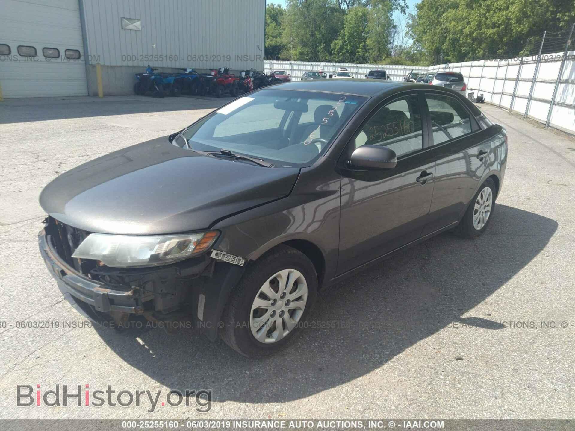 2011 KIA FORTE - VIN: KNAFU4A25B5425271 - Фото 2