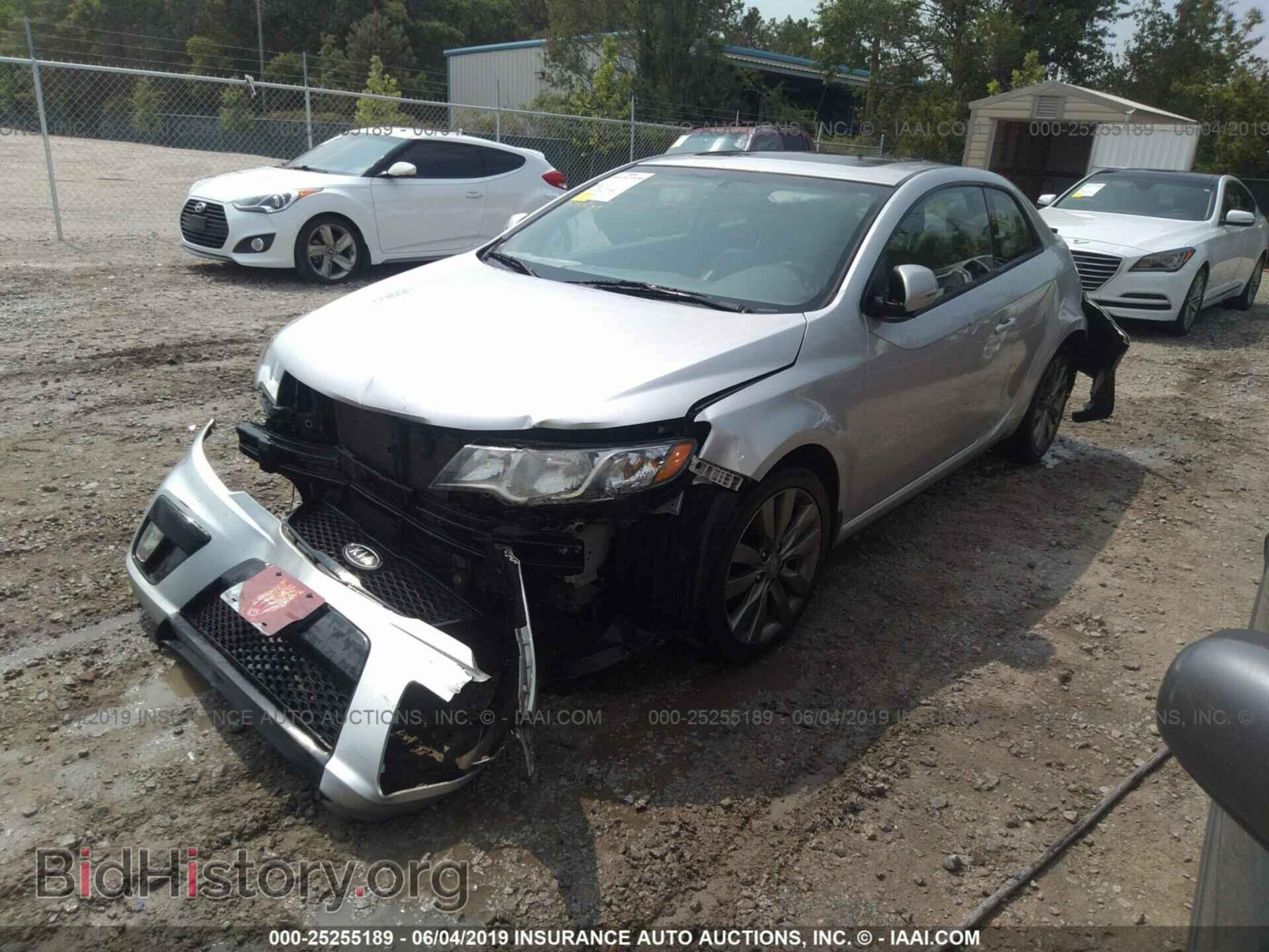 2012 KIA FORTE - VIN: KNAFW6A37C5545752 - Фото 2