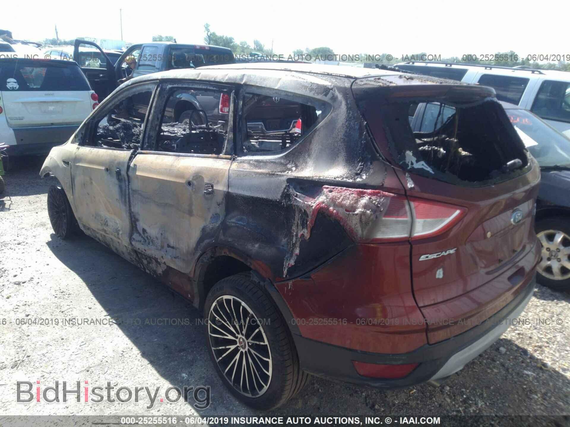 2014 FORD ESCAPE - VIN: 1FMCU0GX2EUC09658 - Фото 3