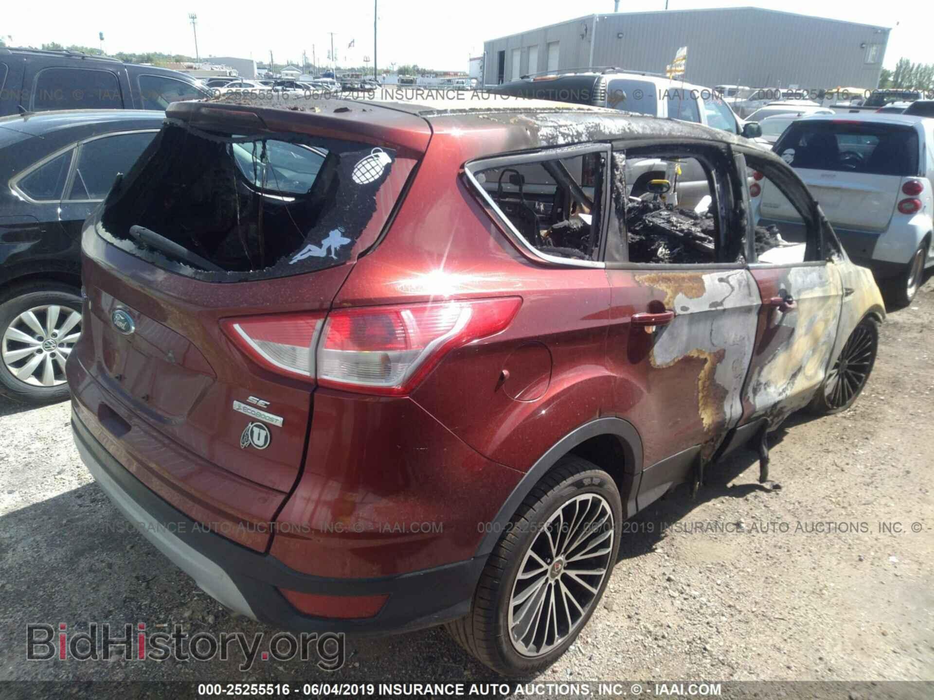 2014 FORD ESCAPE - VIN: 1FMCU0GX2EUC09658 - Фото 4