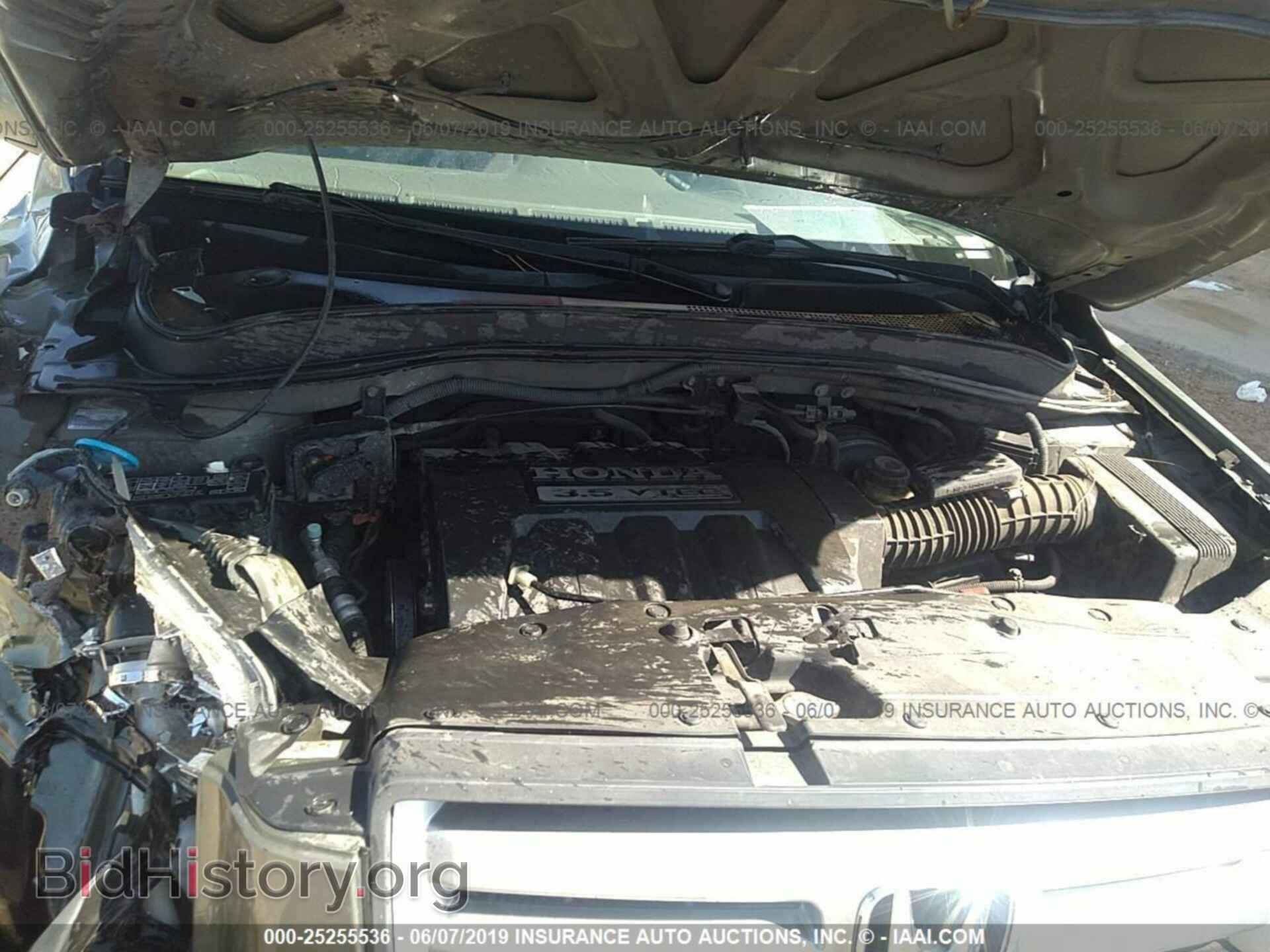 2008 HONDA PILOT - VIN: 5FNYF18428B032976 - Фото 10