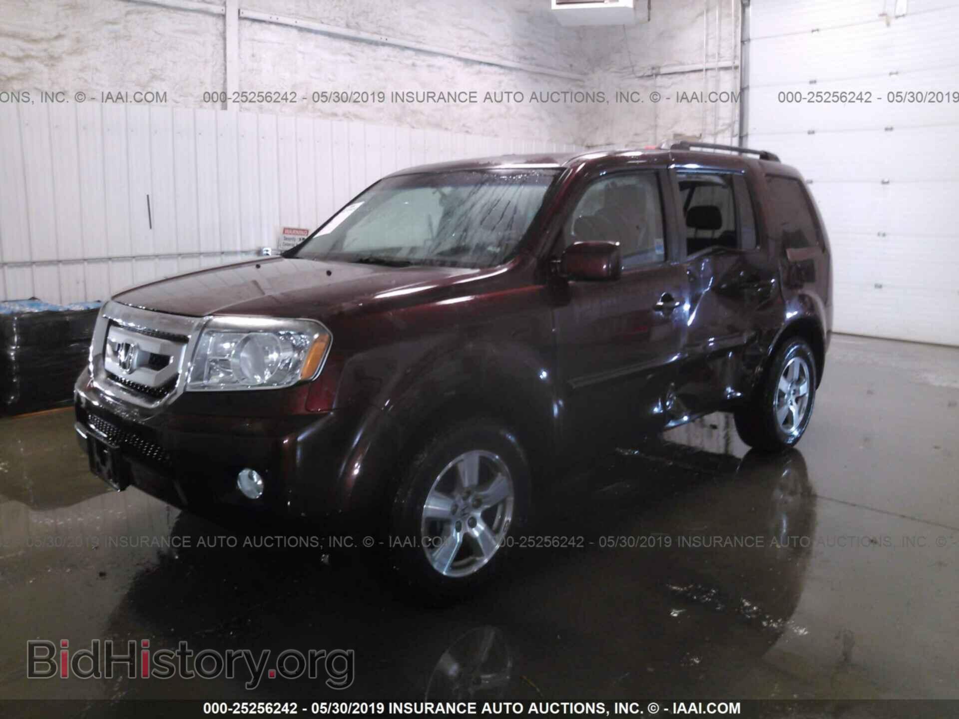 2010 HONDA PILOT - VIN: 5FNYF4H44AB037619 - Фото 2