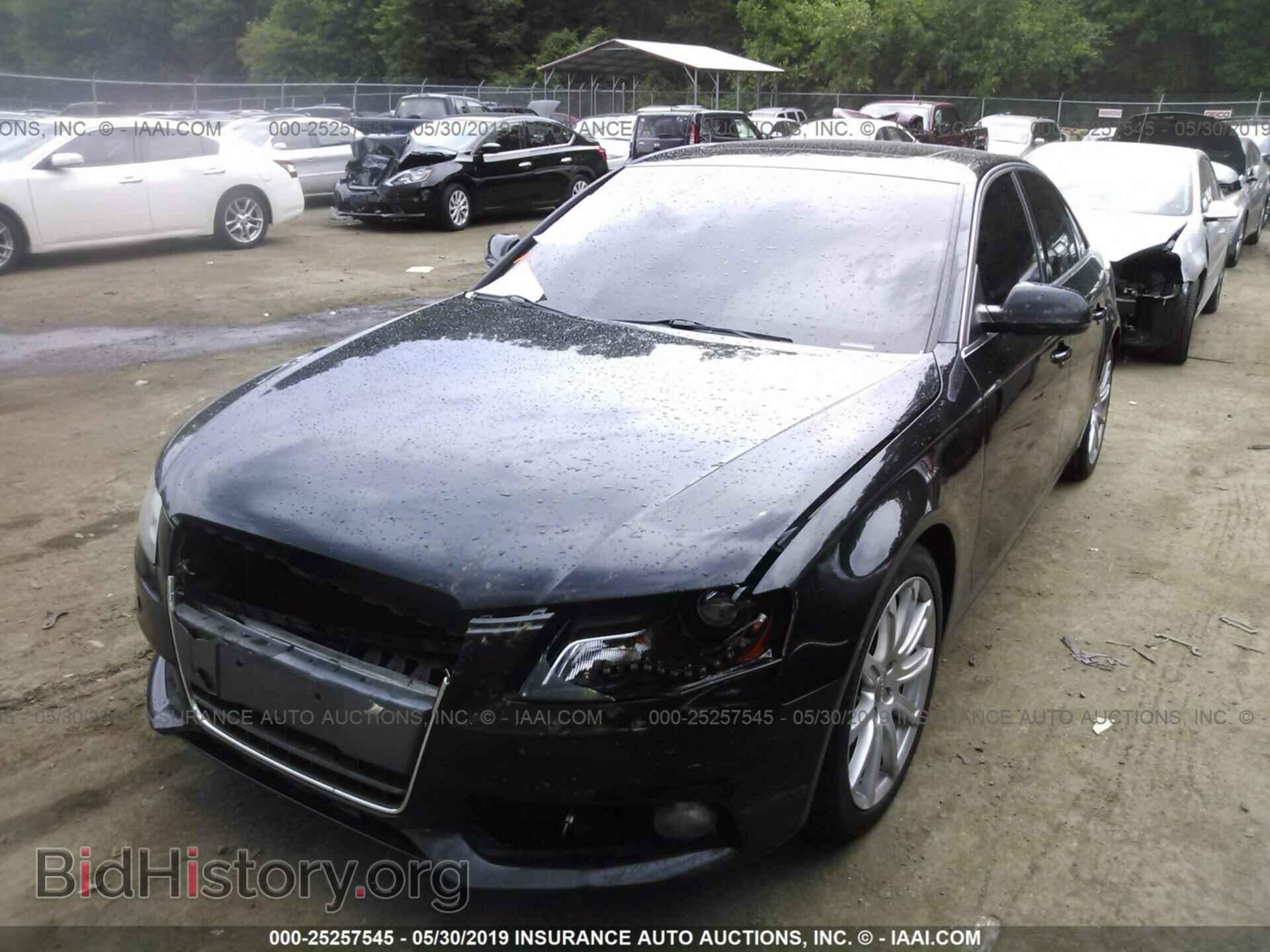 2010 AUDI A4 - VIN: WAUEFAFL3AN024581 - Фото 2