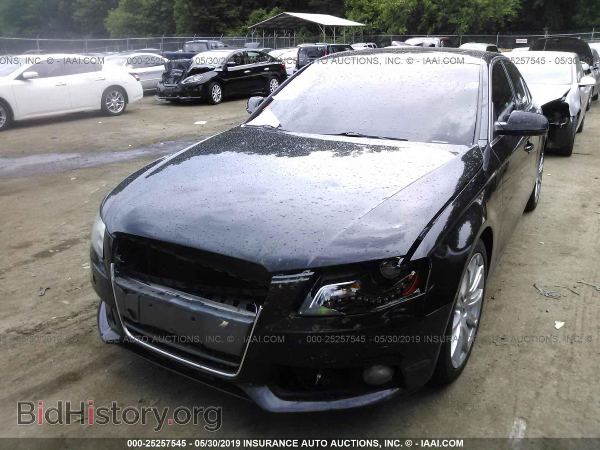 2010 AUDI A4 - VIN: WAUEFAFL3AN024581 - Фото 6
