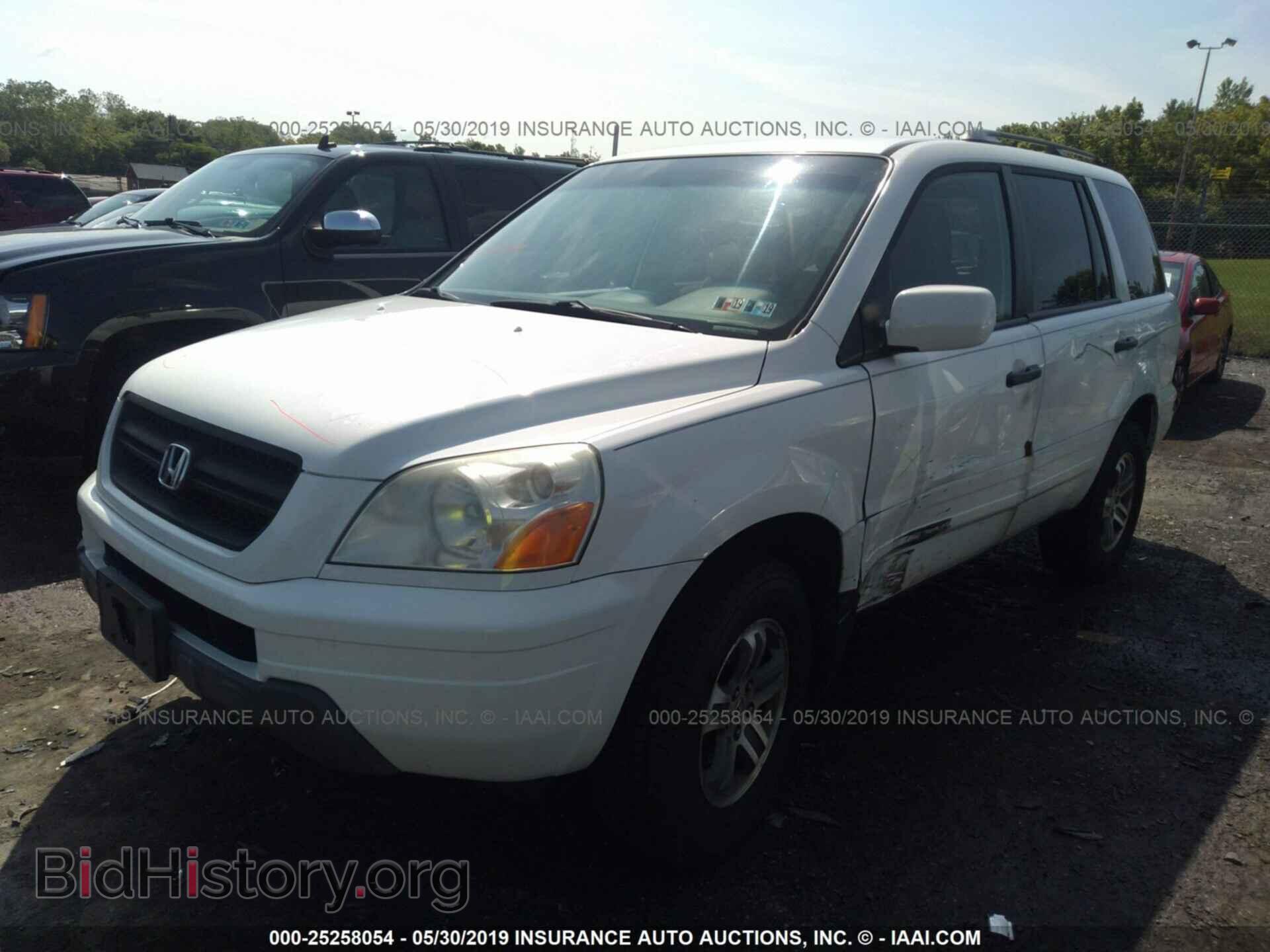 2005 HONDA PILOT - VIN: 5FNYF18425B059588 - Фото 2