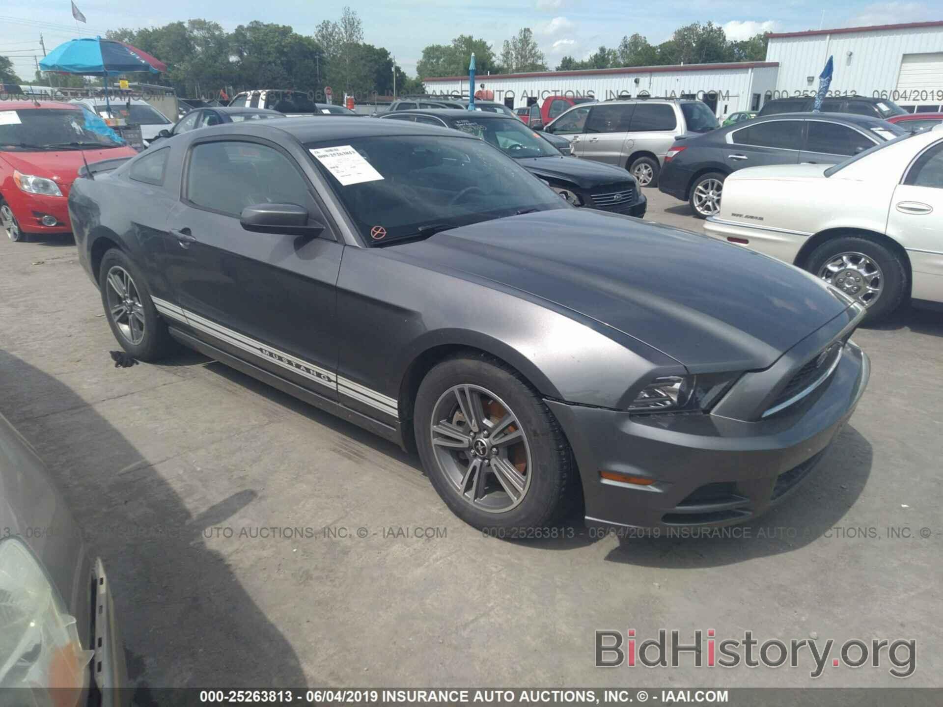 Photo 1ZVBP8AM8D5201039 - FORD MUSTANG 2013