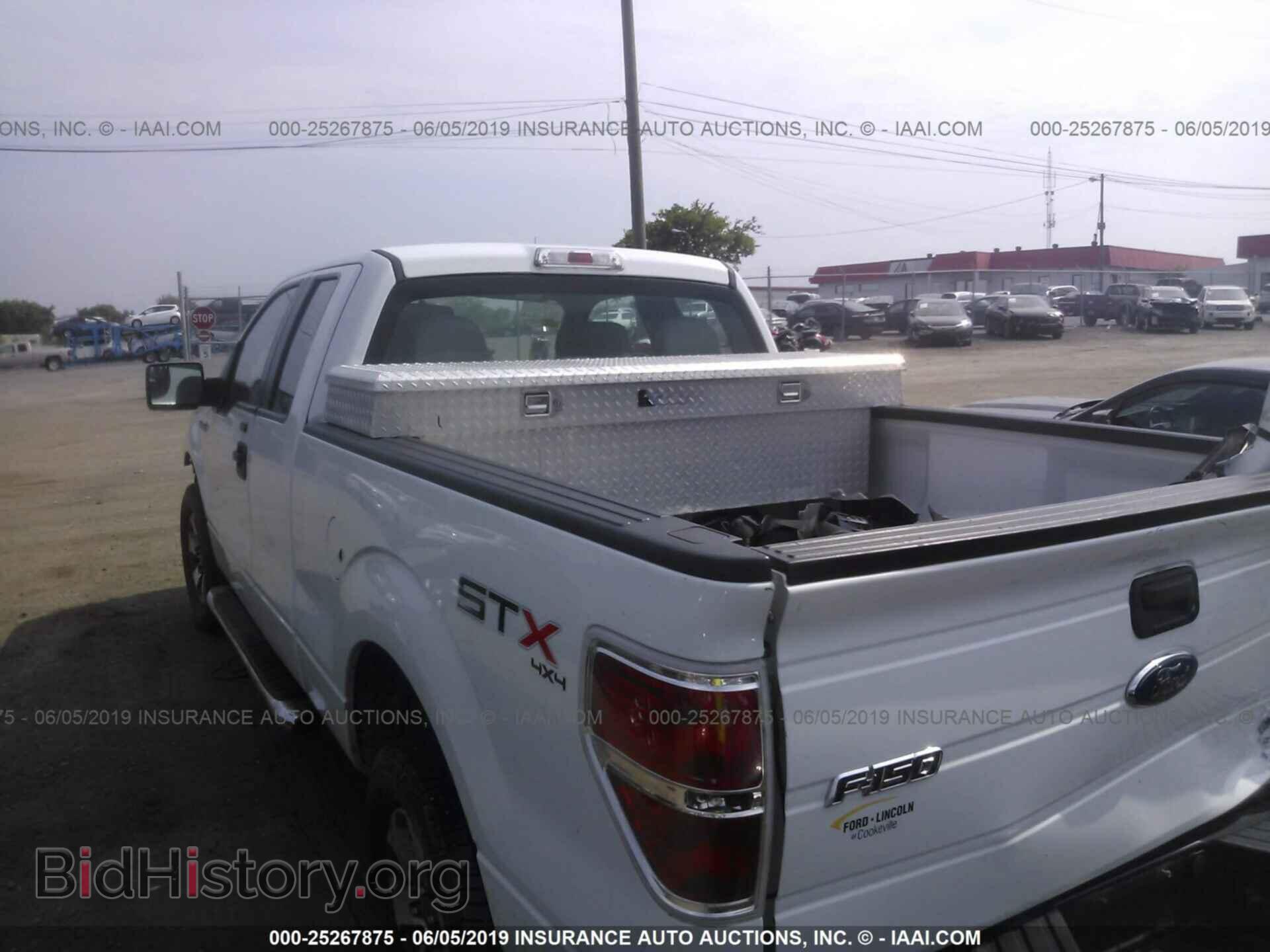 2013 FORD F150 - VIN: 1FTFX1EF4DFB88338 - Фото 8