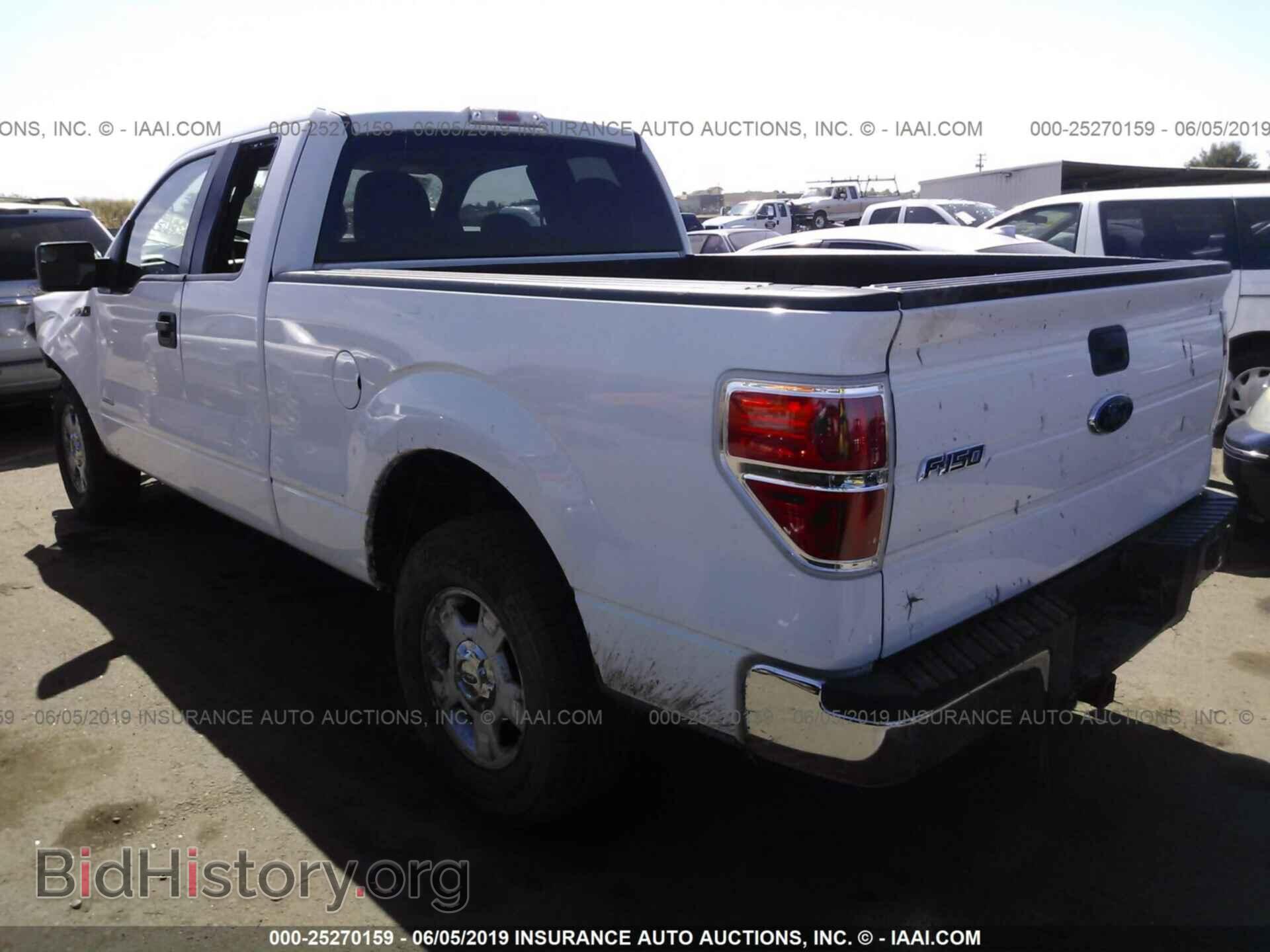 2013 FORD F150 - VIN: 1FTFX1CT6DFB84817 - Фото 3