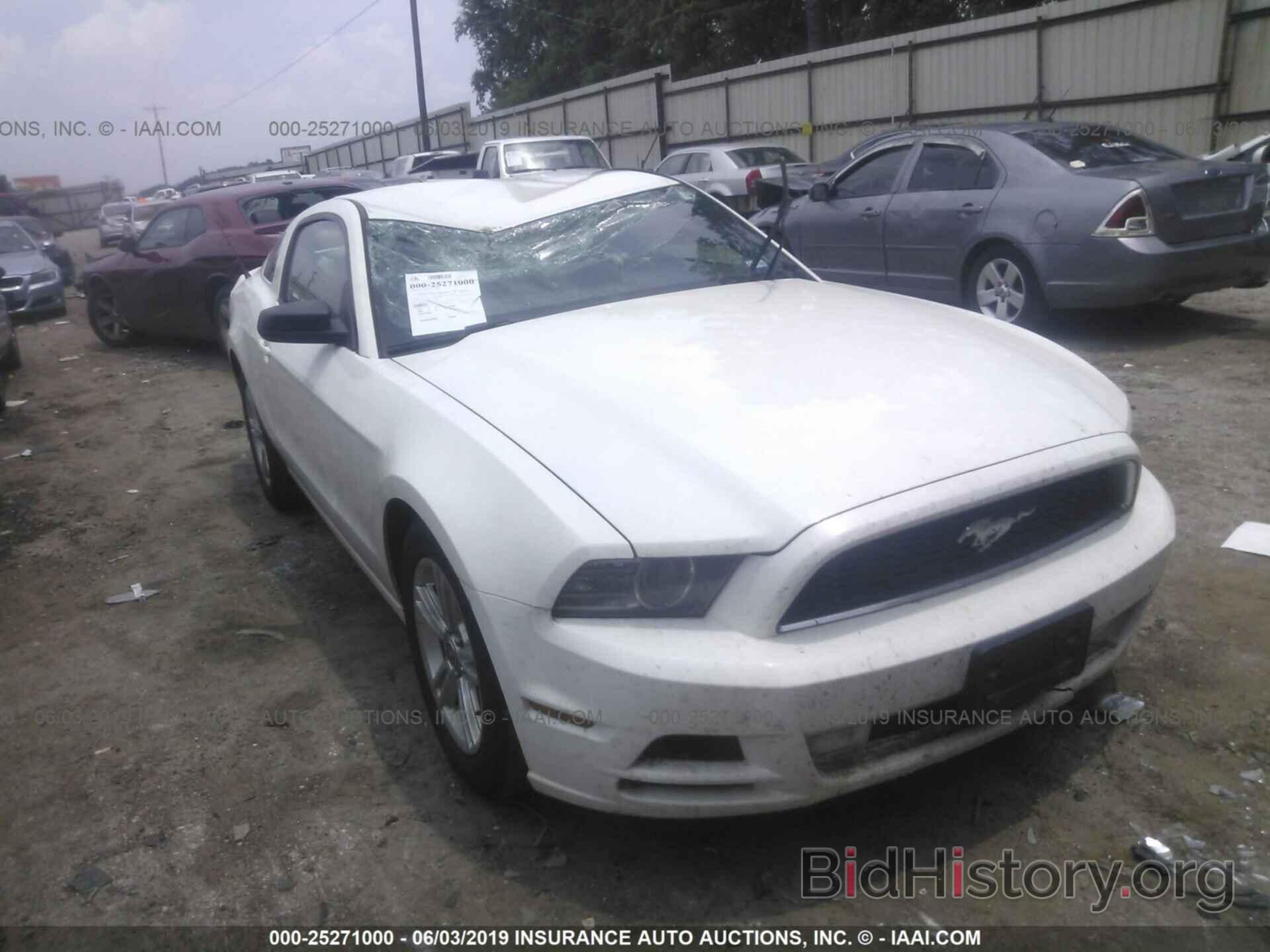 Photo 1ZVBP8AM2D5249698 - FORD MUSTANG 2013