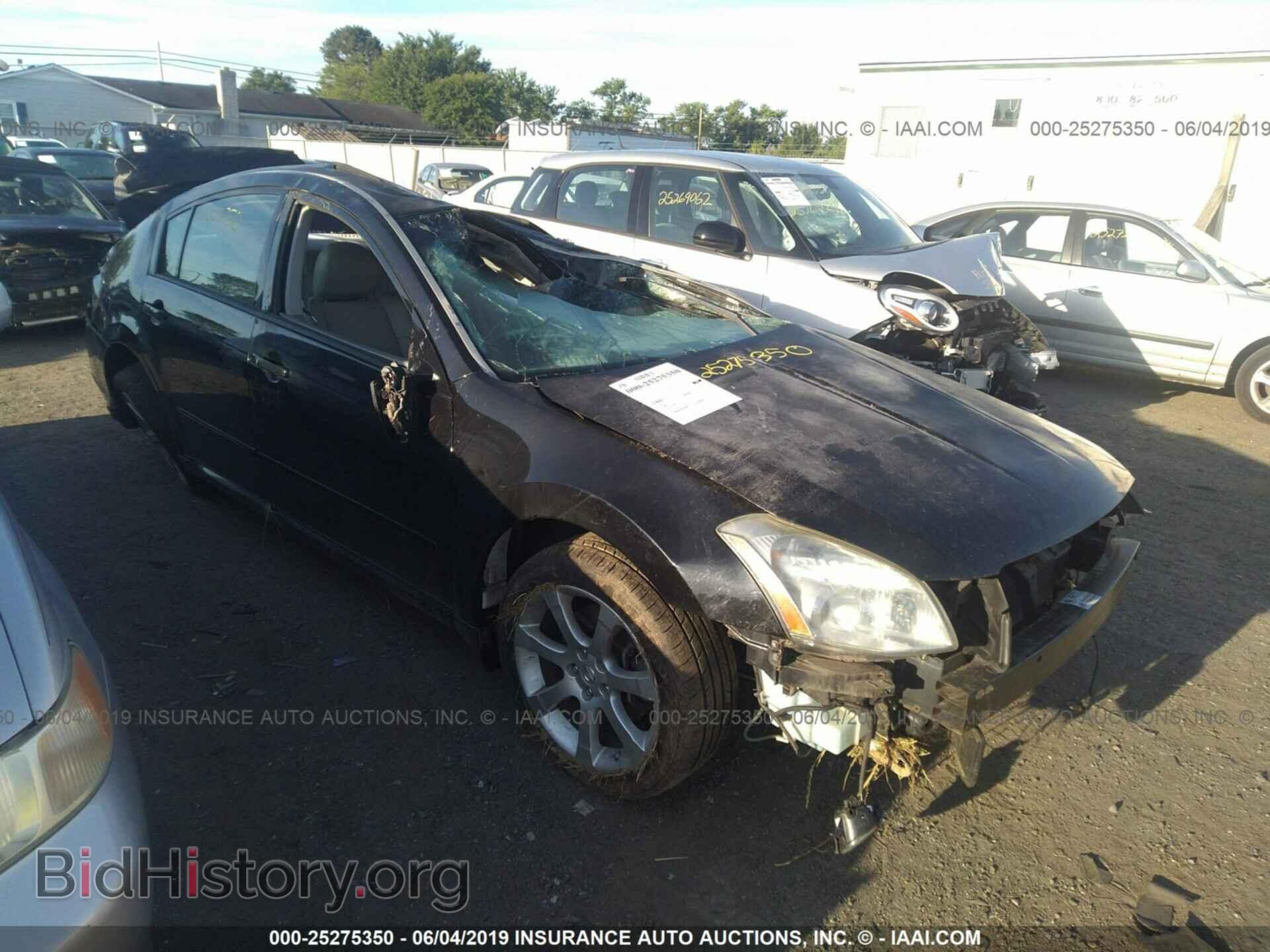 Photo 1N4BA41E17C800263 - NISSAN MAXIMA 2007
