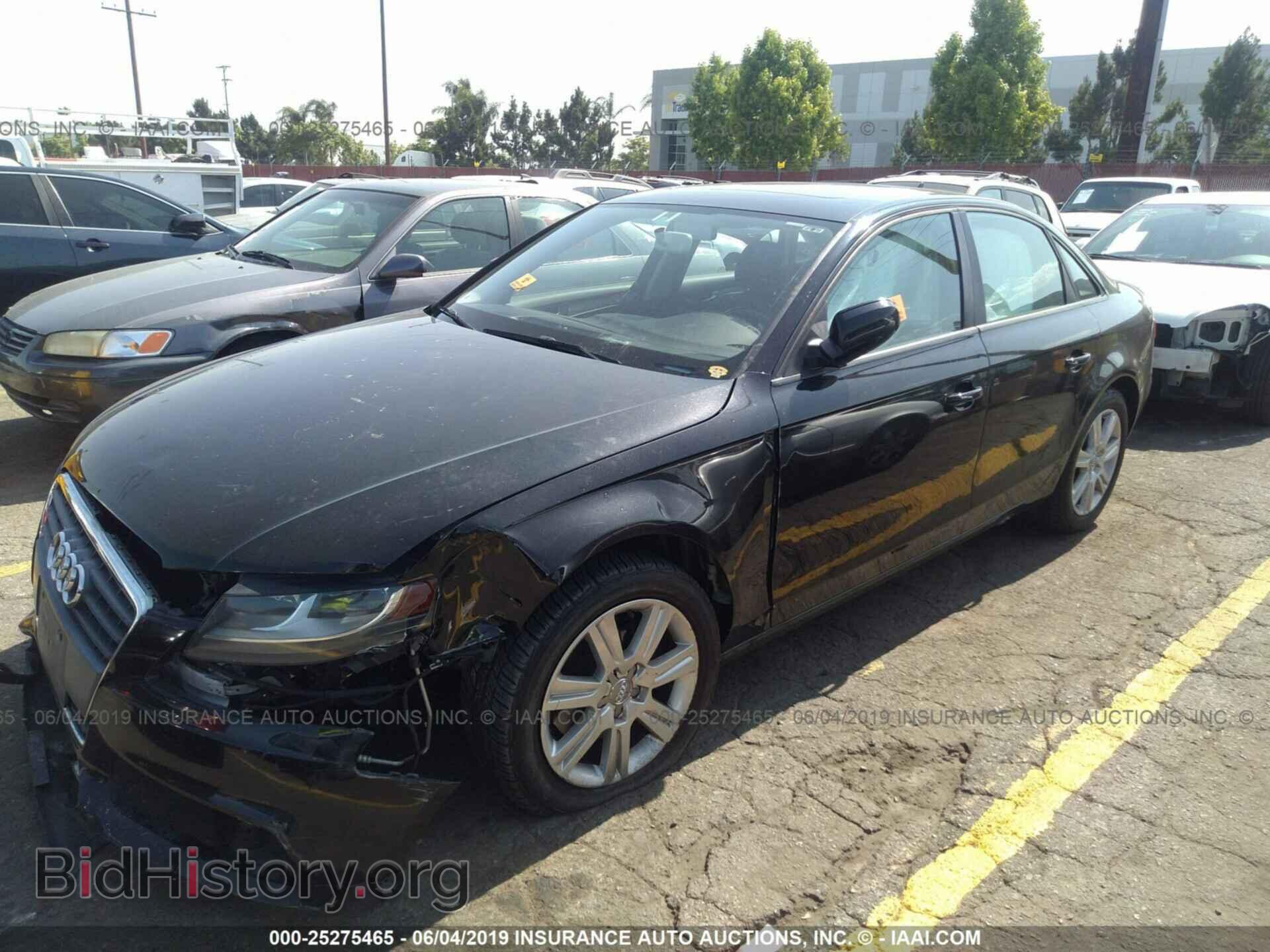2010 AUDI A4 - VIN: WAUAFAFL4AN032073 - Фото 2