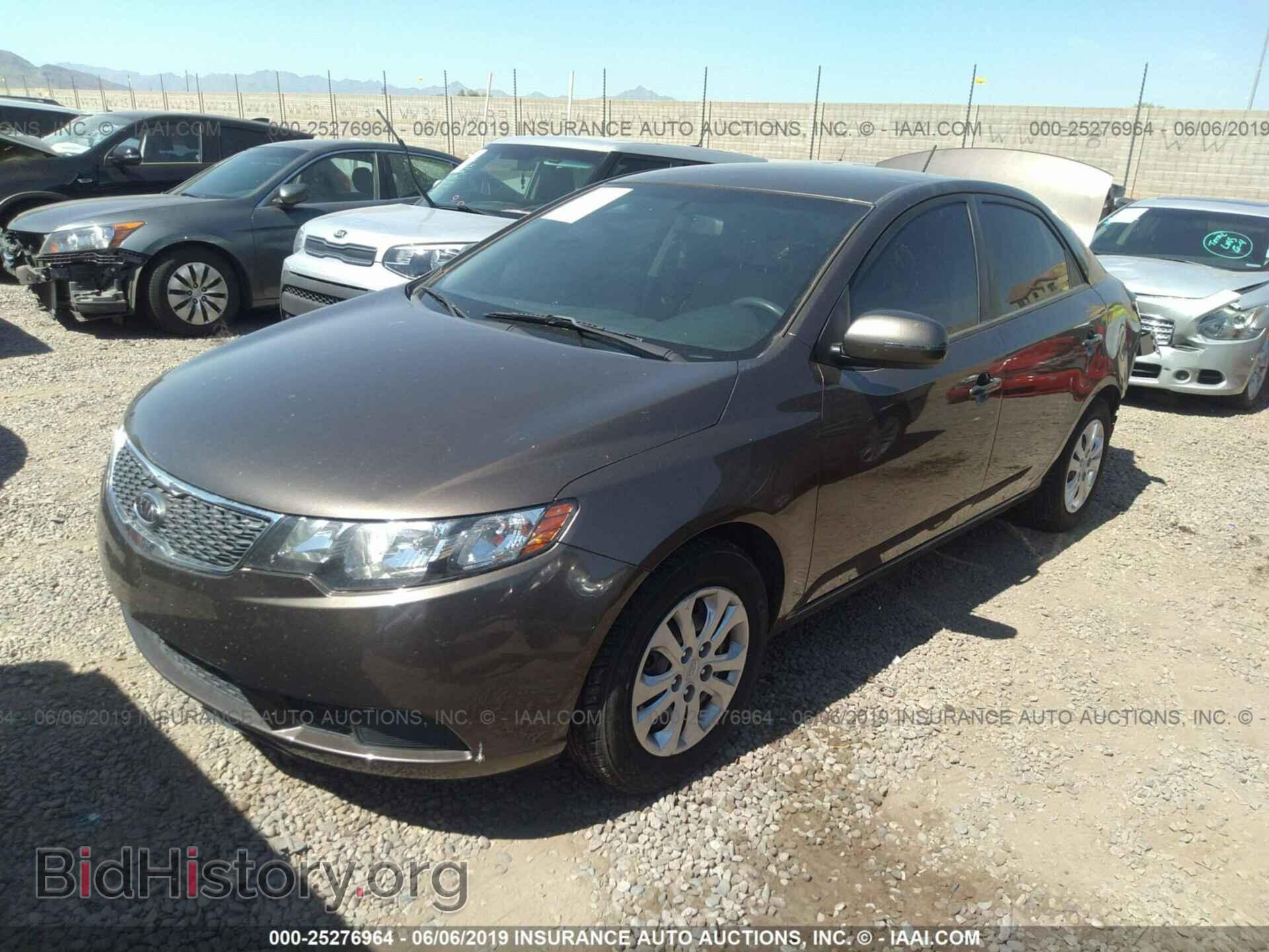 2013 KIA FORTE - VIN: KNAFU4A28D5689331 - Фото 2