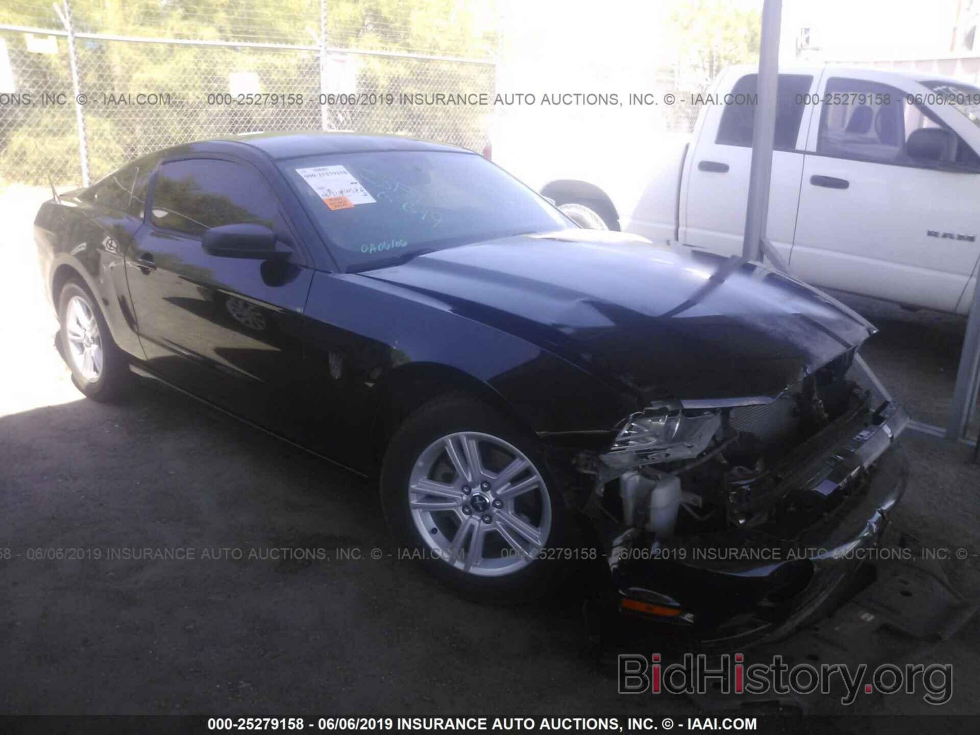 Photo 1ZVBP8AM0D5243589 - FORD MUSTANG 2013