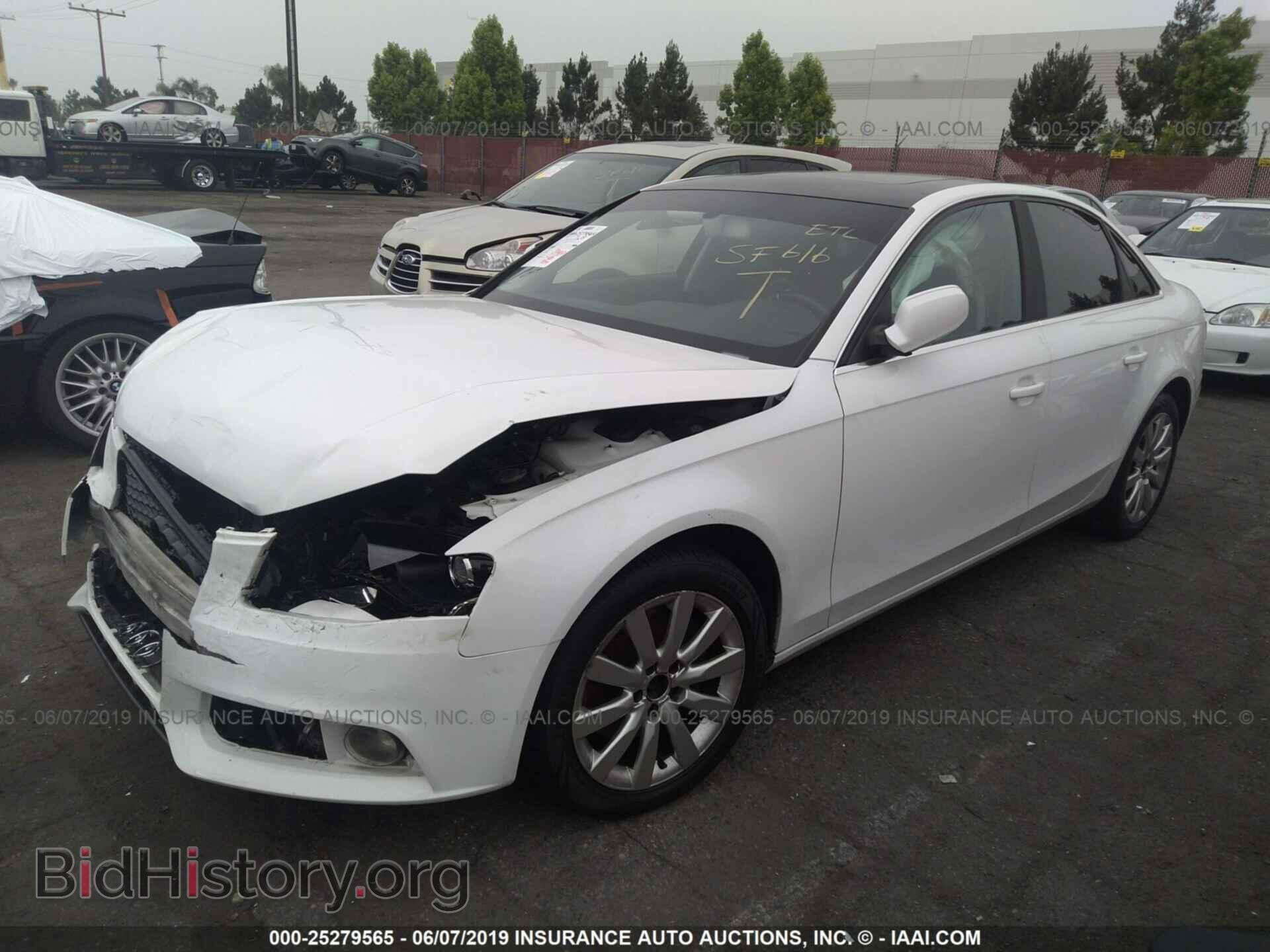 2010 AUDI A4 - VIN: WAUEFAFL5AN012559 - Фото 2