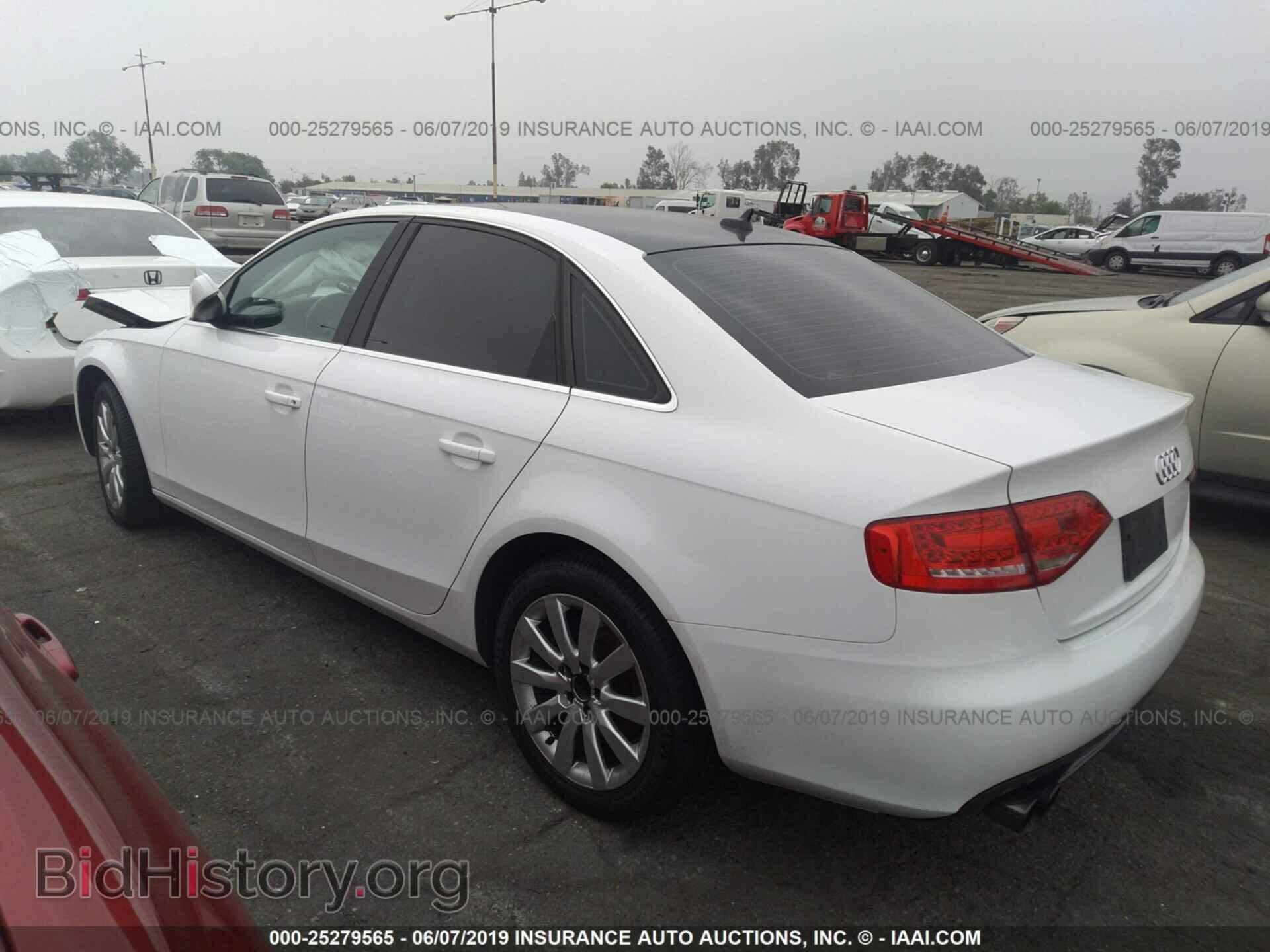 2010 AUDI A4 - VIN: WAUEFAFL5AN012559 - Фото 3