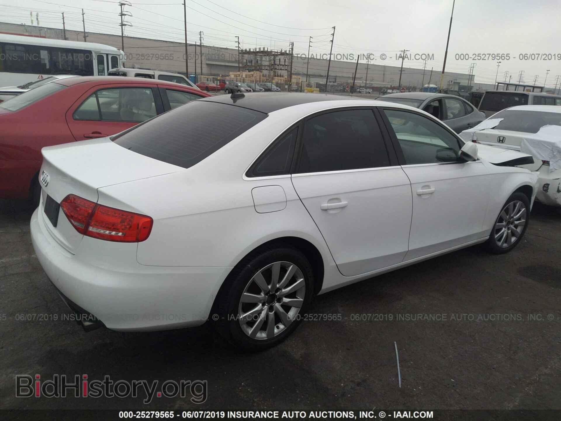 2010 AUDI A4 - VIN: WAUEFAFL5AN012559 - Фото 4