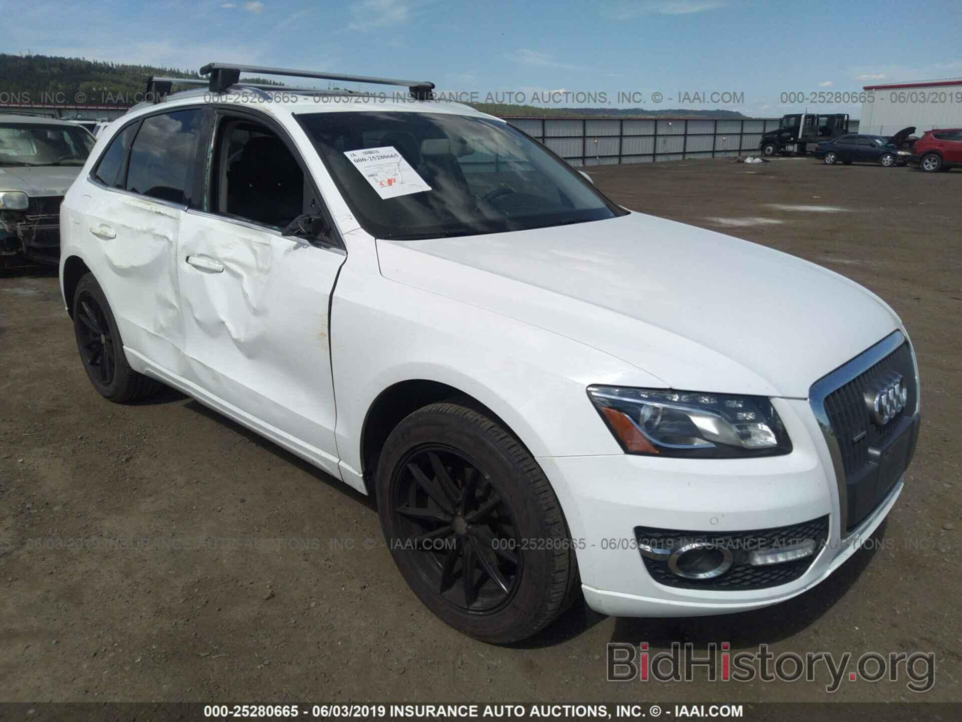 Photo WA1LFAFP8BA012586 - AUDI Q5 2011