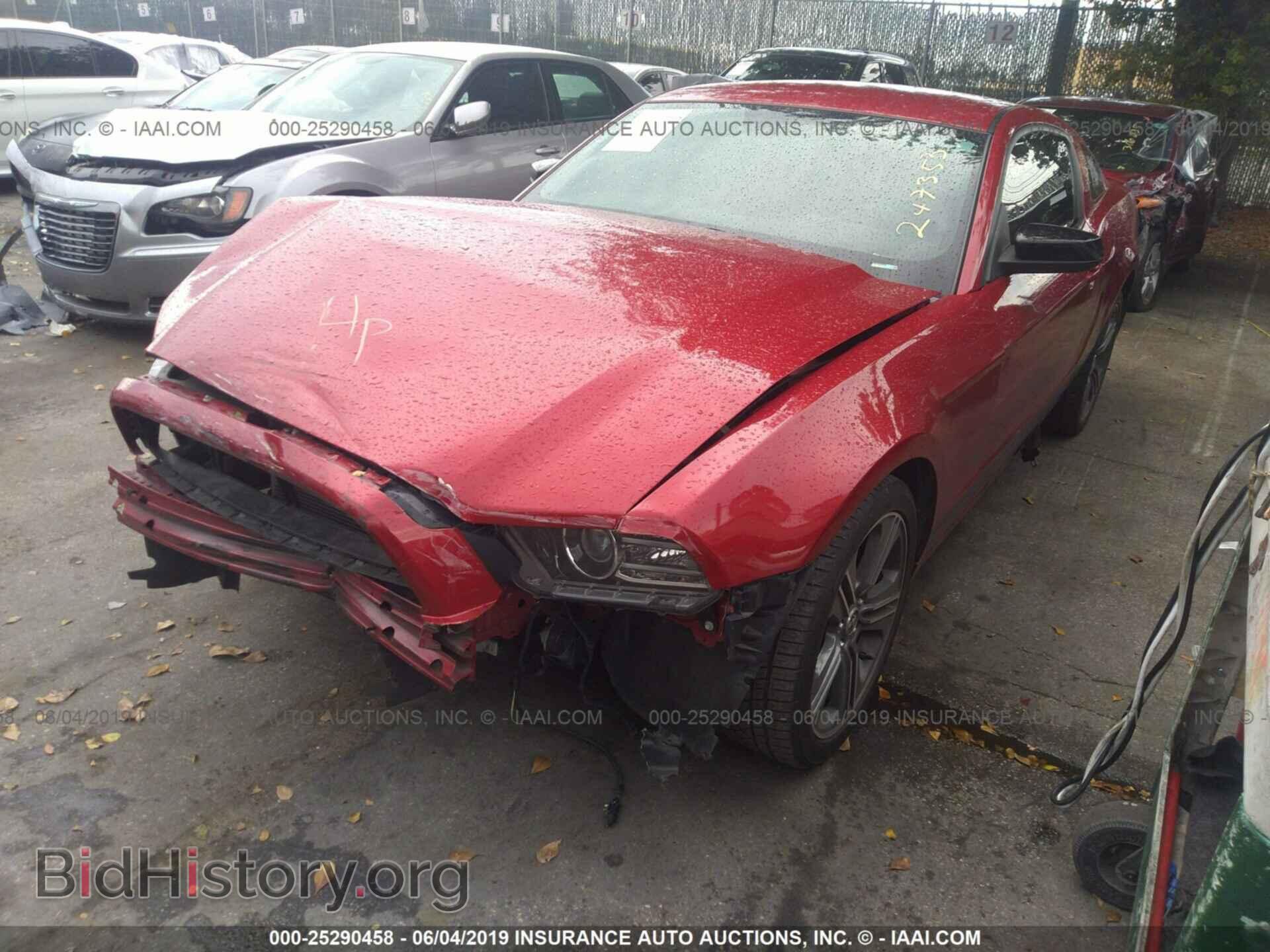 2013 FORD MUSTANG - VIN: 1ZVBP8AM2D5247353 - Фото 2