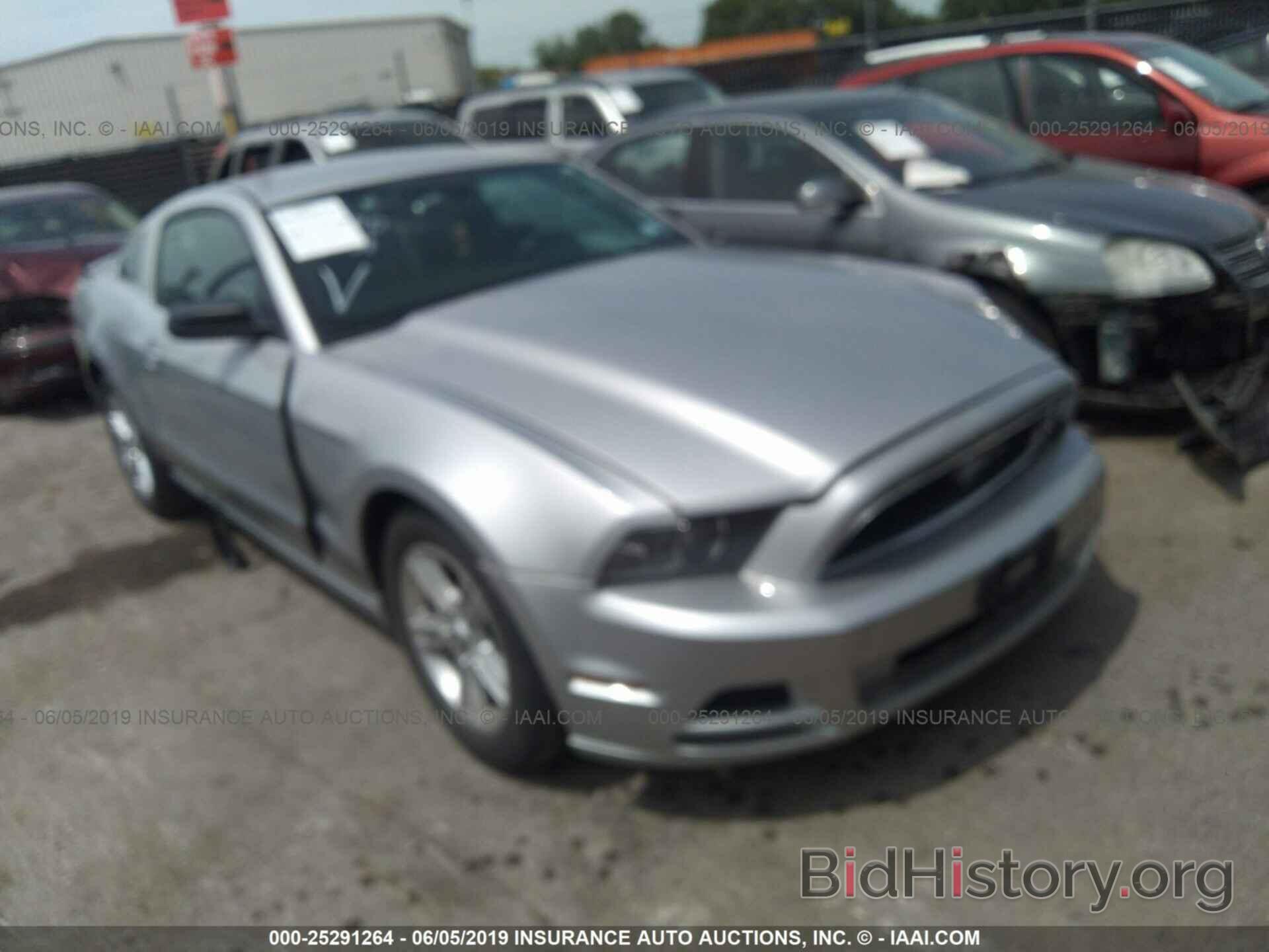 Photo 1ZVBP8AMXD5221275 - FORD MUSTANG 2013