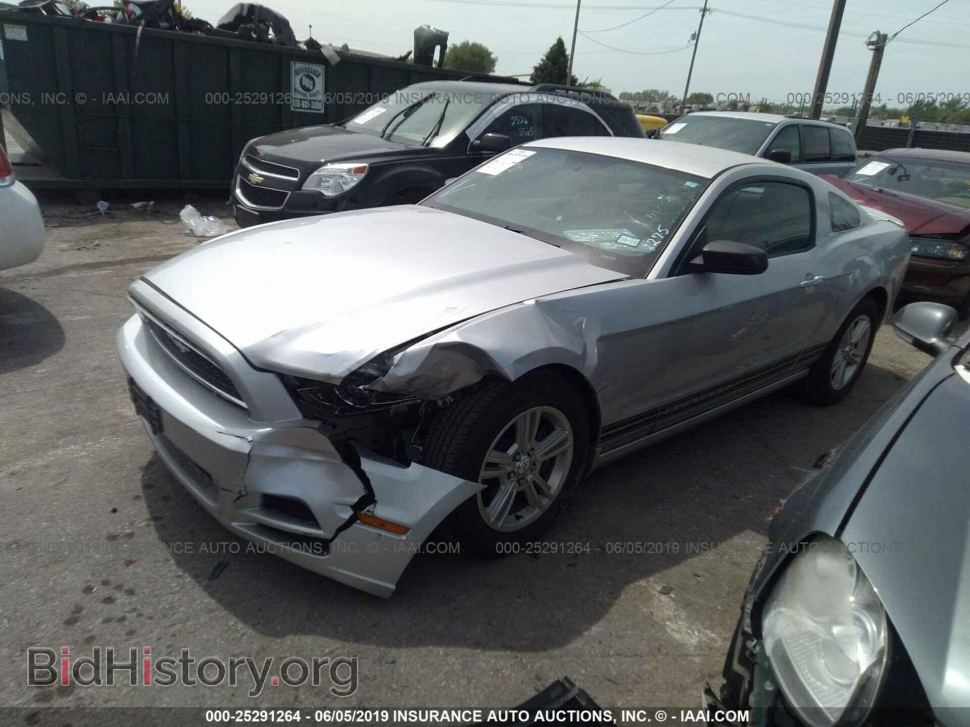 2013 FORD MUSTANG - VIN: 1ZVBP8AMXD5221275 - Фото 2