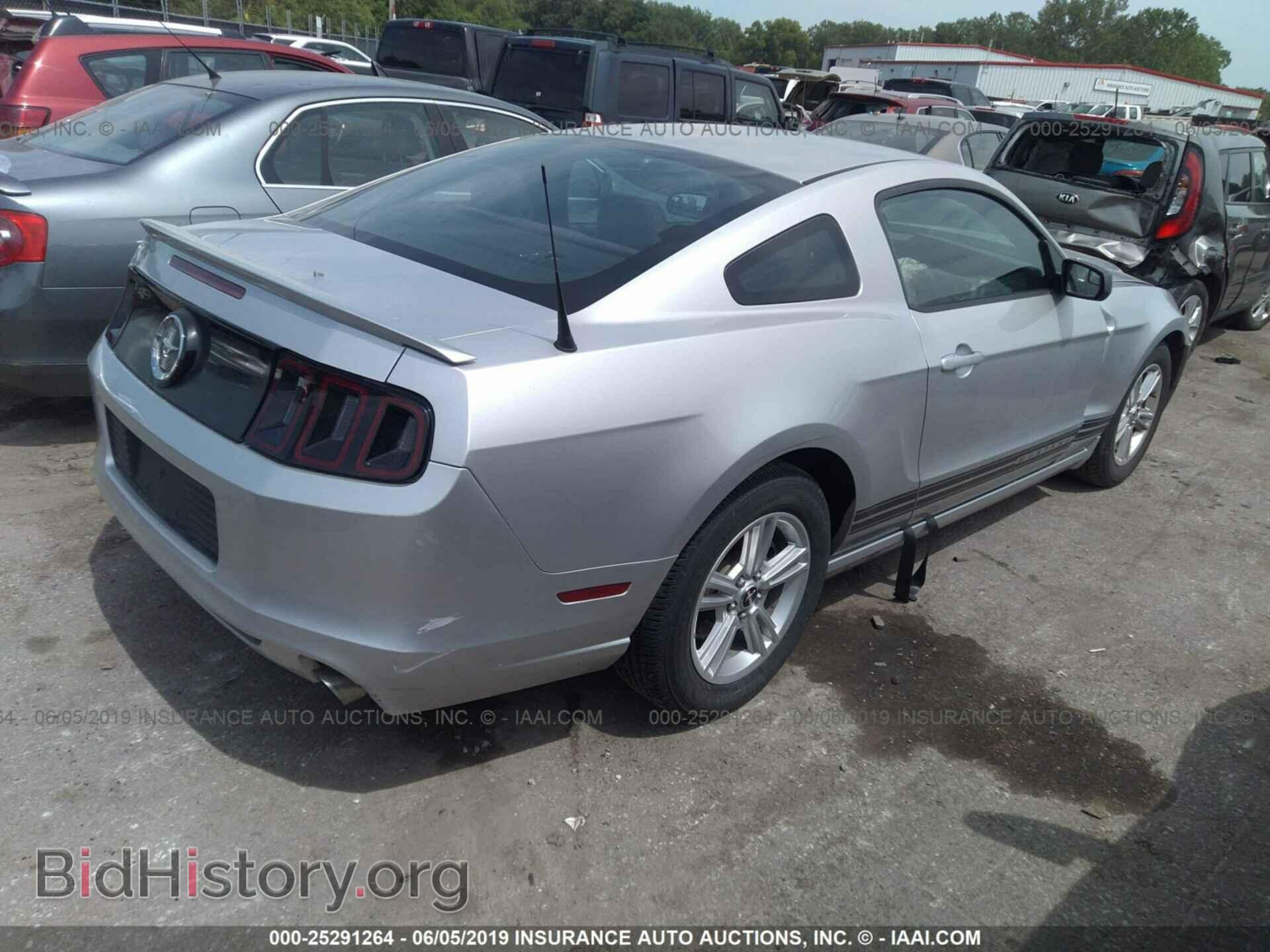 2013 FORD MUSTANG - VIN: 1ZVBP8AMXD5221275 - Фото 4