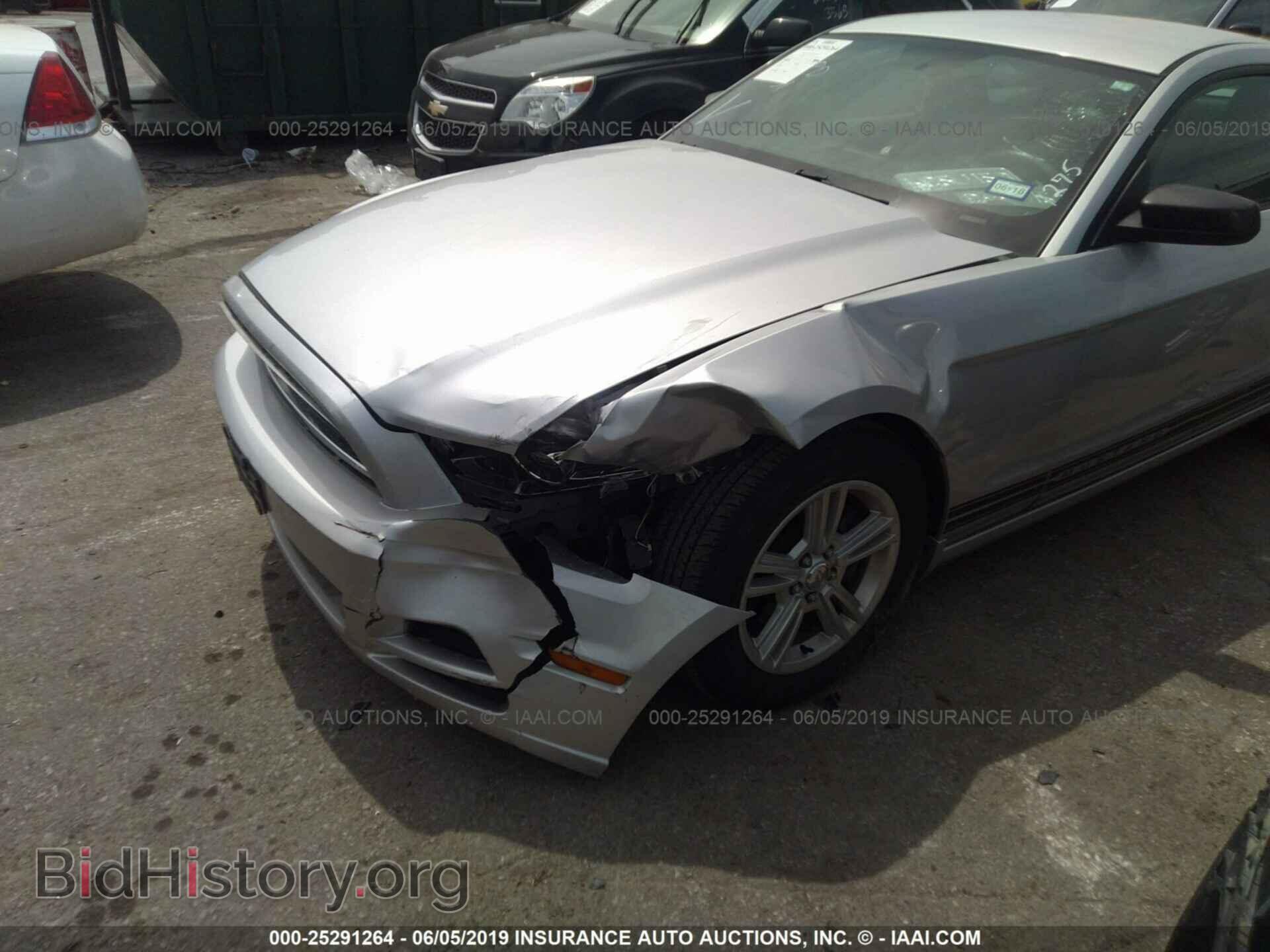2013 FORD MUSTANG - VIN: 1ZVBP8AMXD5221275 - Фото 6