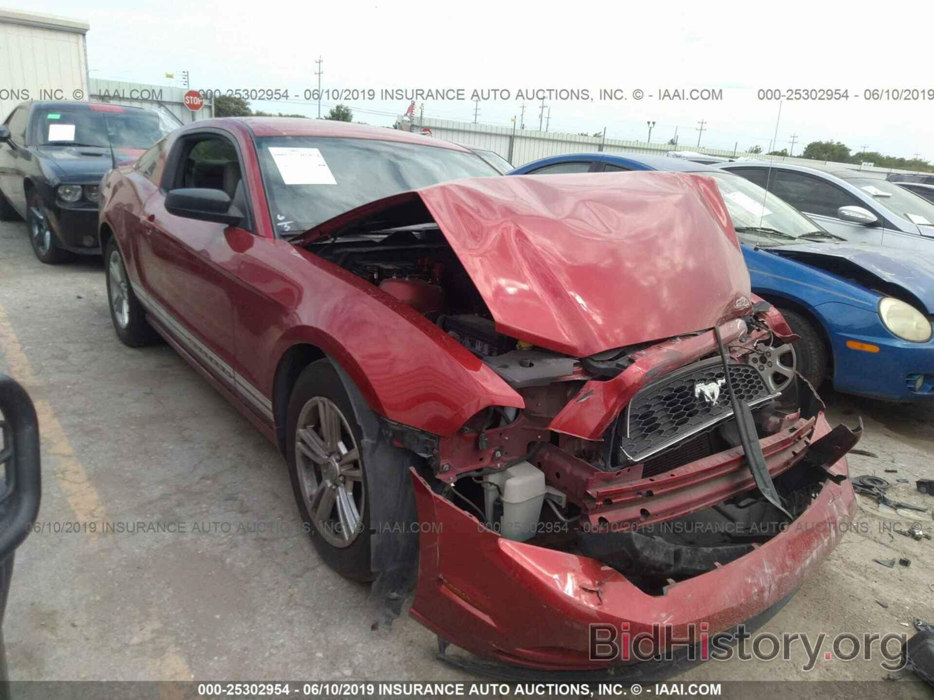Photo 1ZVBP8AM1D5249532 - FORD MUSTANG 2013