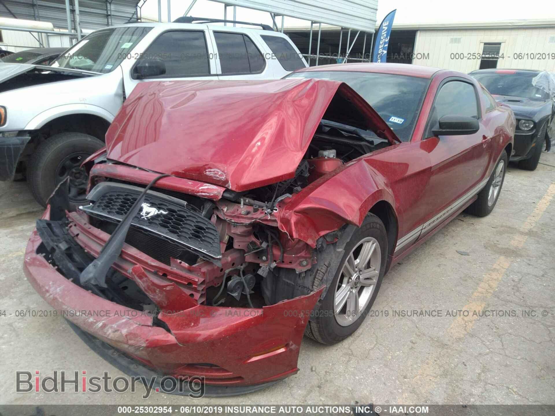 2013 FORD MUSTANG - VIN: 1ZVBP8AM1D5249532 - Фото 2