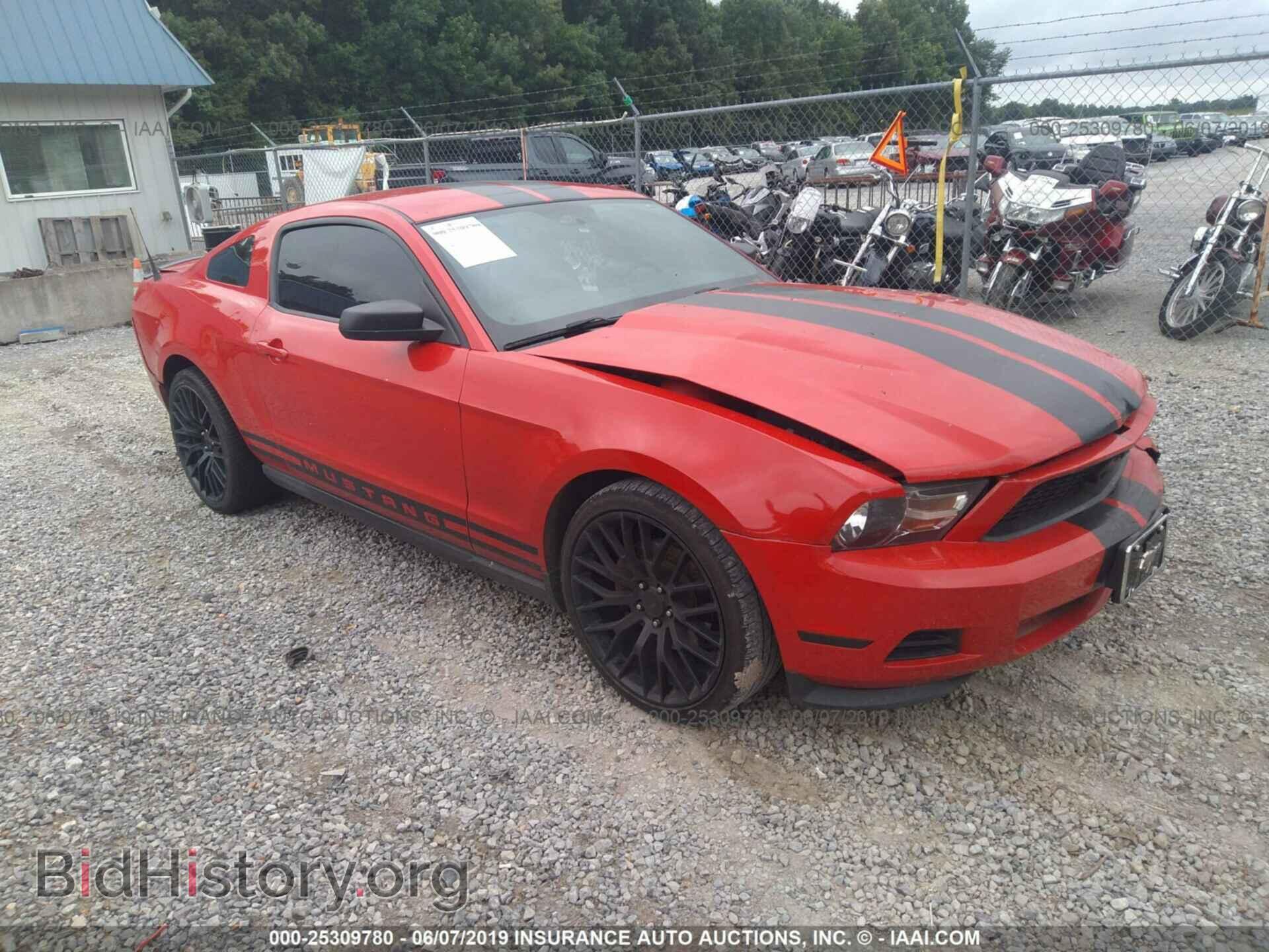 Фотография 1ZVBP8AM2B5138761 - FORD MUSTANG 2011