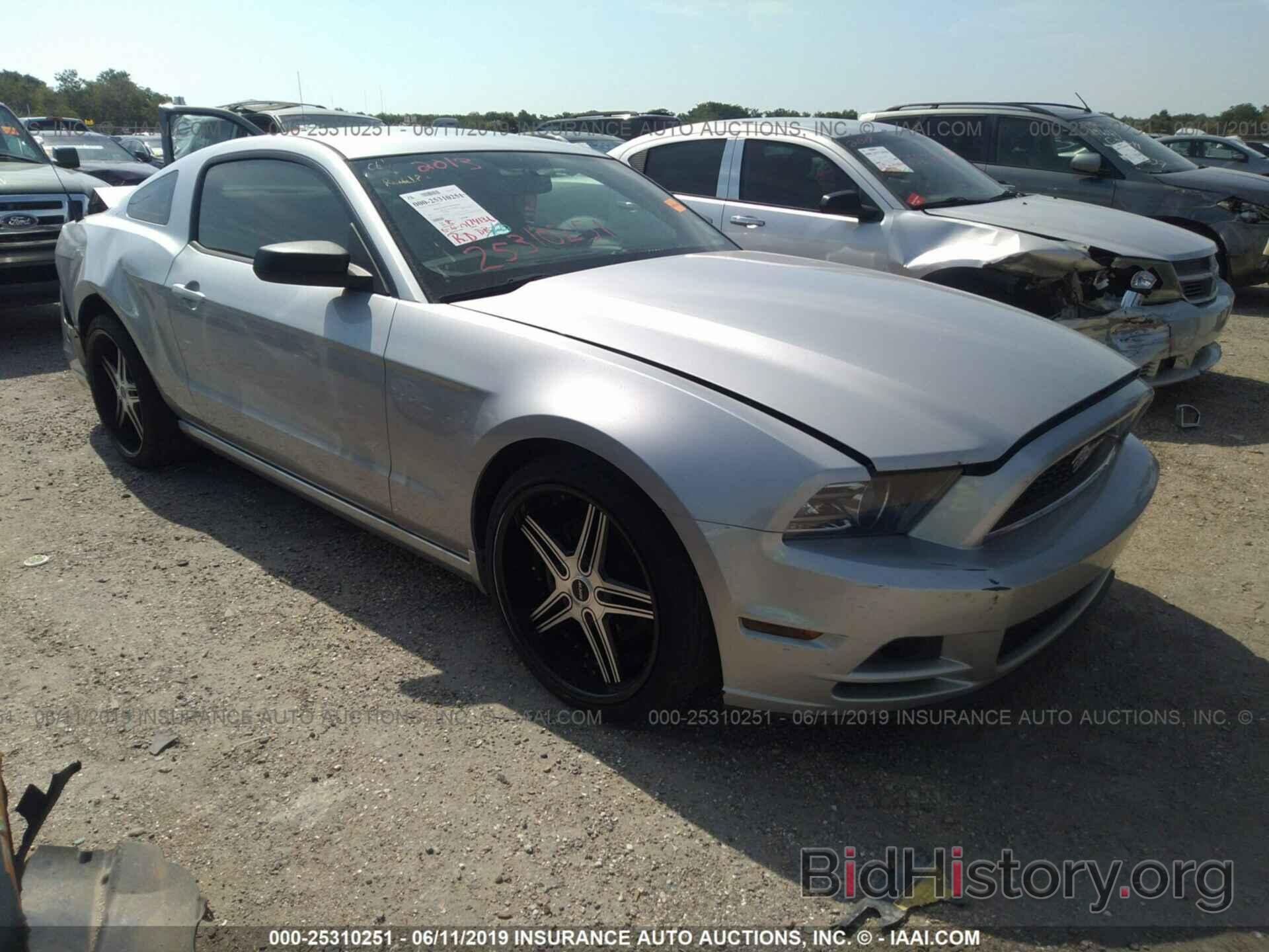 Photo 1ZVBP8AM9D5265719 - FORD MUSTANG 2013