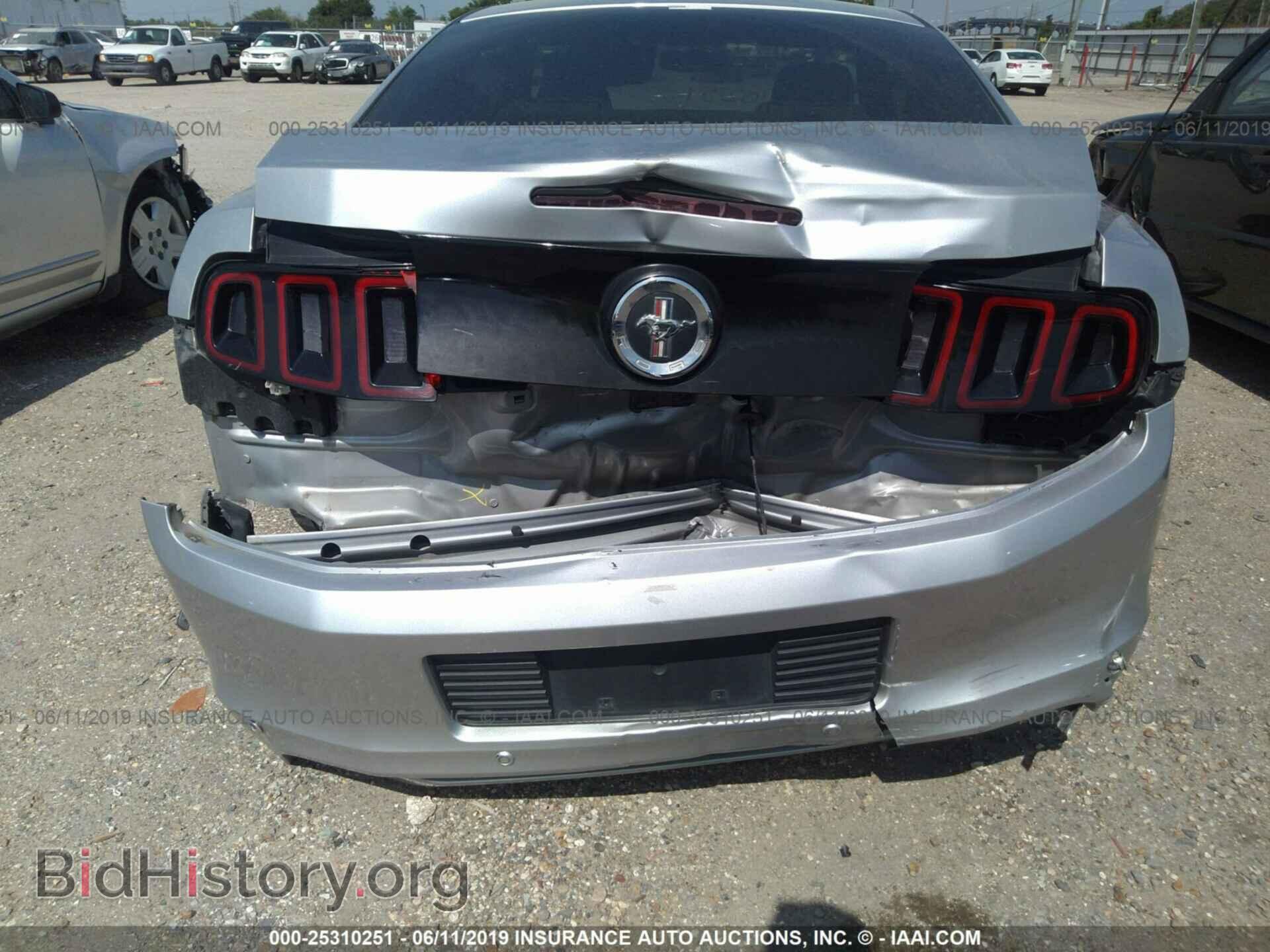 2013 FORD MUSTANG - VIN: 1ZVBP8AM9D5265719 - Фото 6
