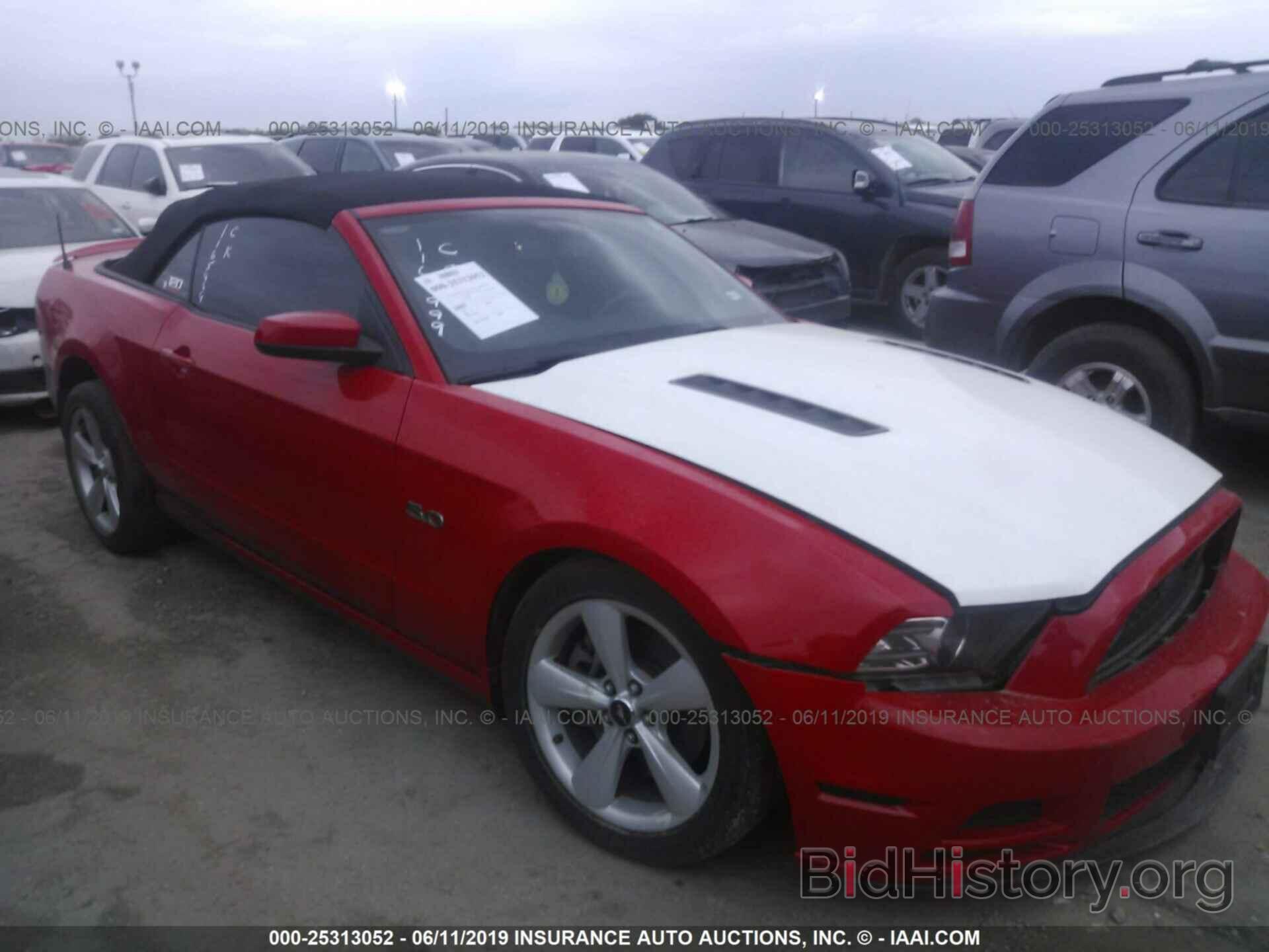 Photo 1ZVBP8FFXD5219679 - FORD MUSTANG 2013