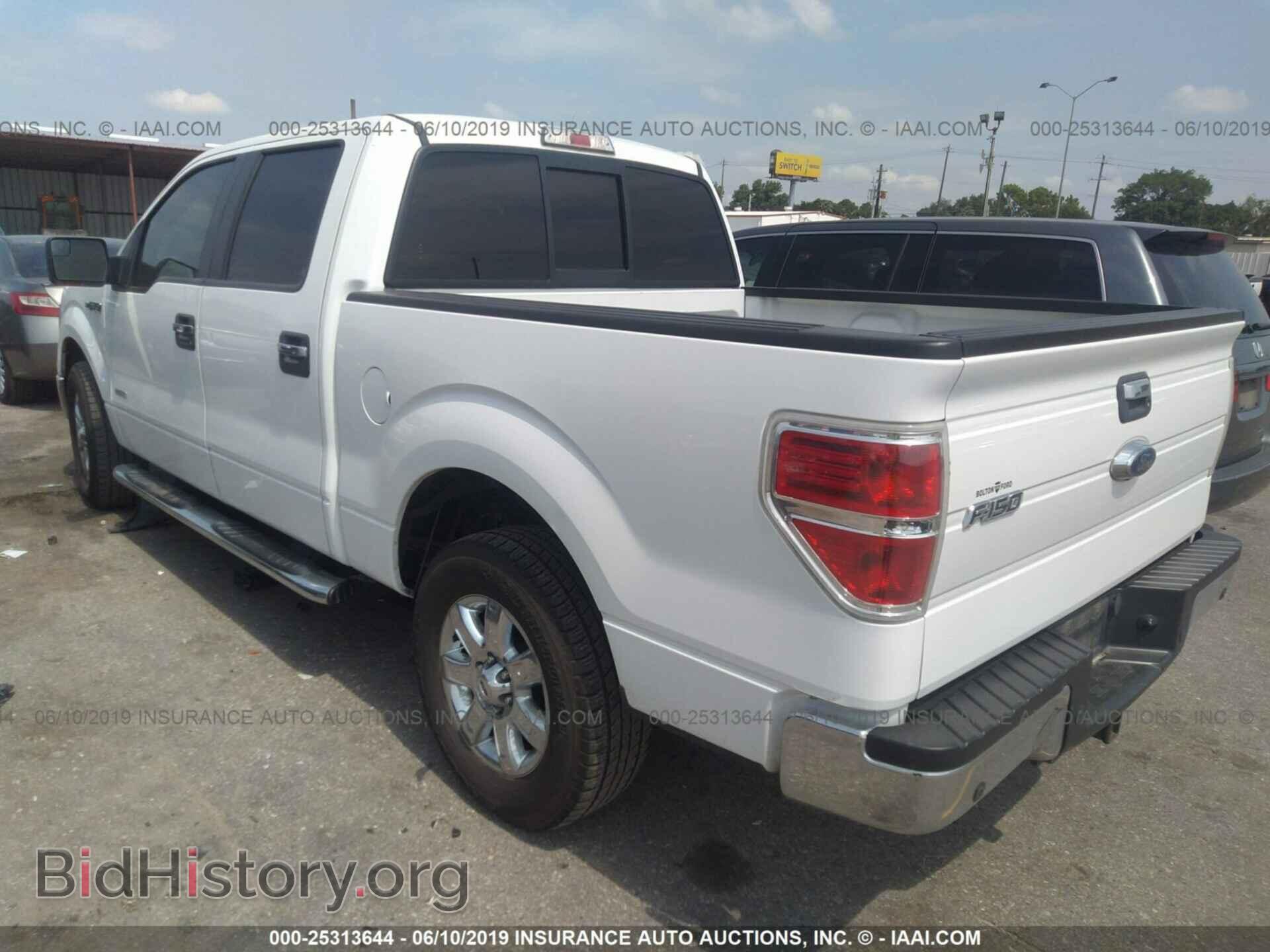 2013 FORD F150 - VIN: 1FTFW1CT2DKE69864 - Фото 3