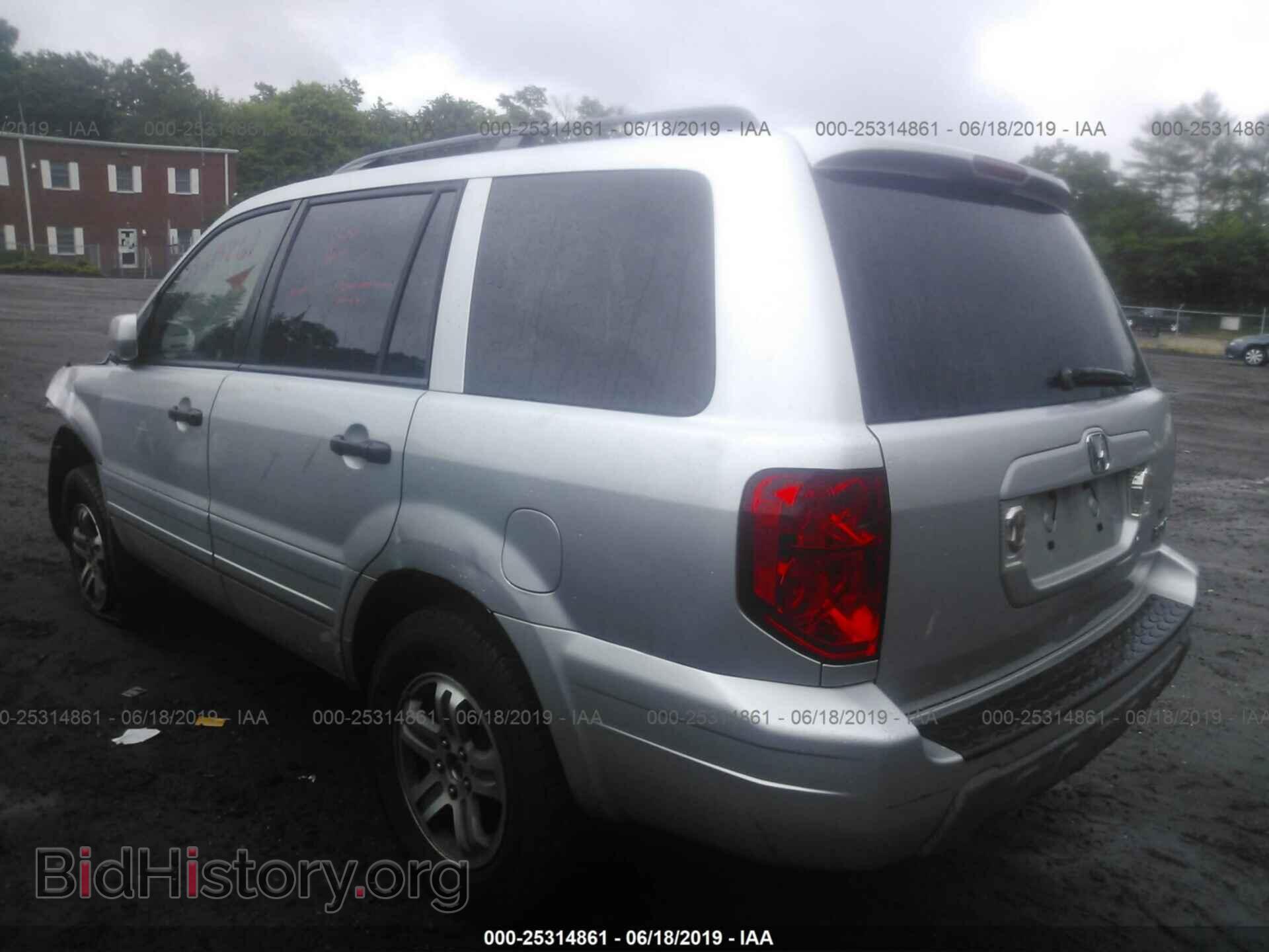 2005 HONDA PILOT - VIN: 5FNYF18405B057306 - Фото 3