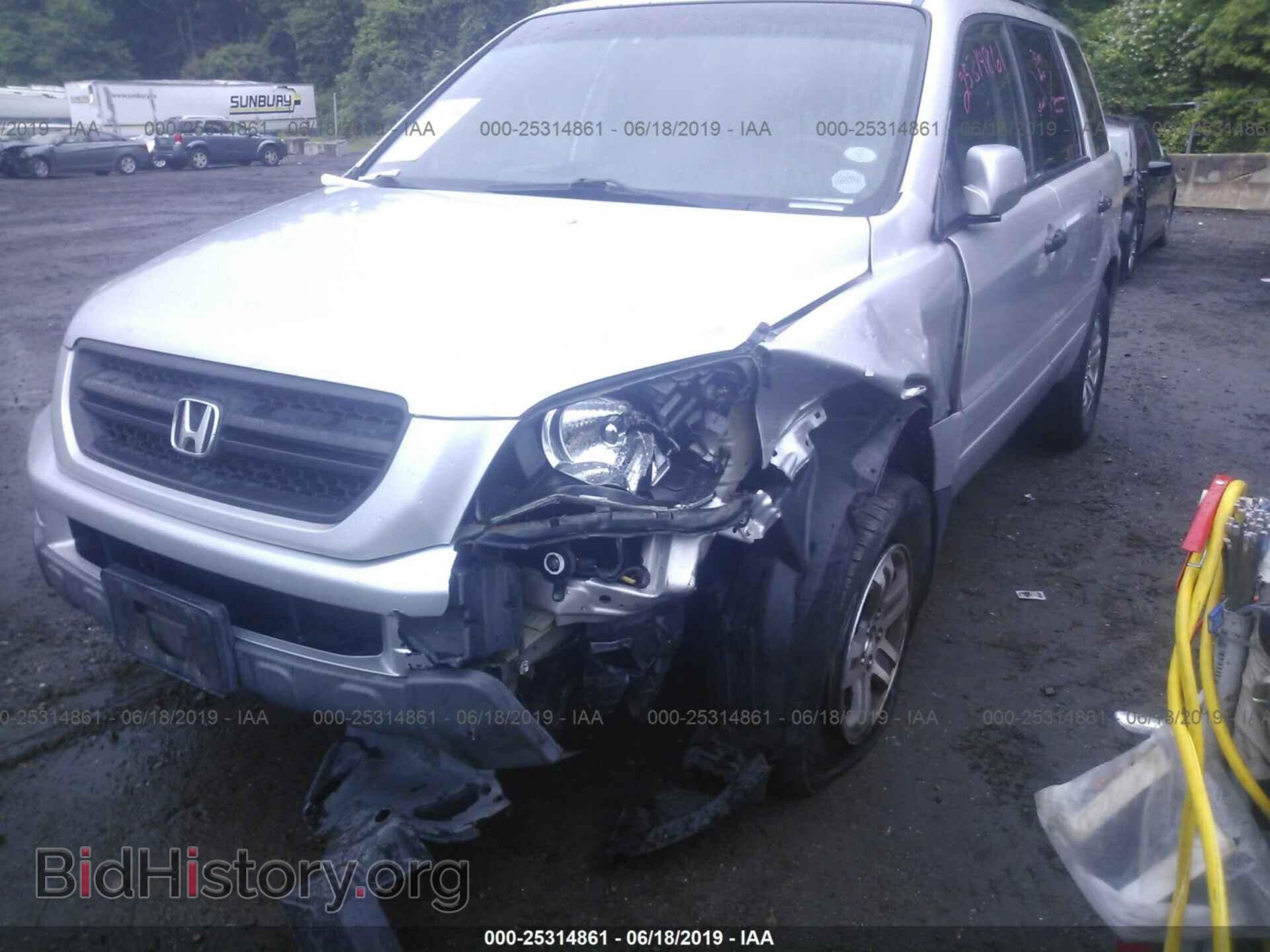 2005 HONDA PILOT - VIN: 5FNYF18405B057306 - Фото 6