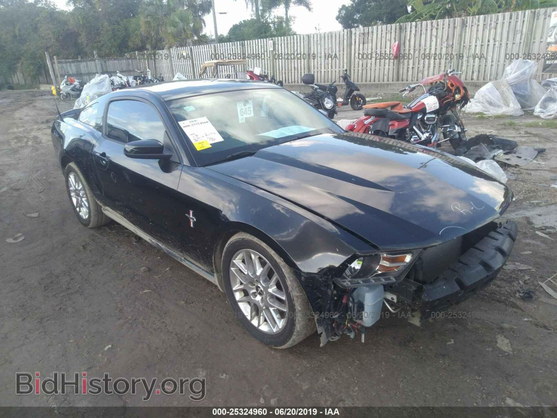 Фотография 1ZVBP8AM3C5229894 - FORD MUSTANG 2012