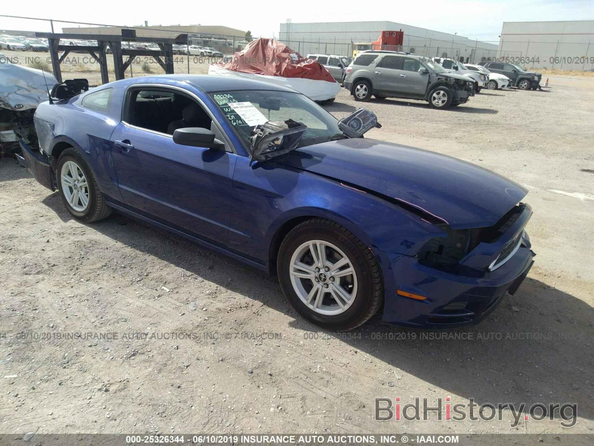 Photo 1ZVBP8AM3E5259402 - FORD MUSTANG 2014