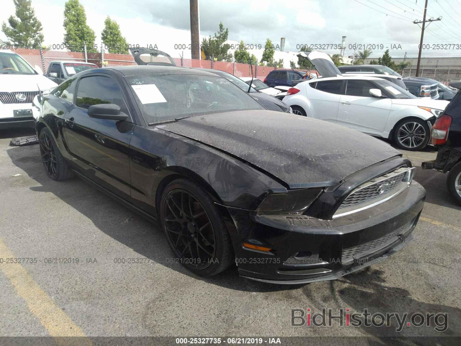 Photo 1ZVBP8AM7E5224510 - FORD MUSTANG 2014
