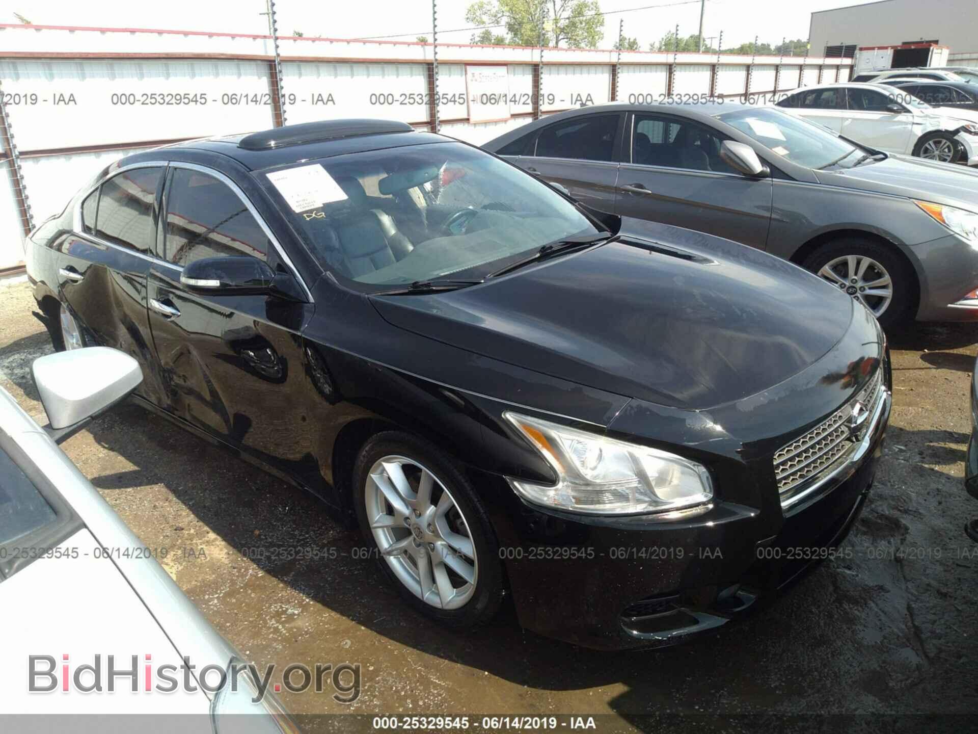 Photo 1N4AA51E99C802590 - NISSAN MAXIMA 2009