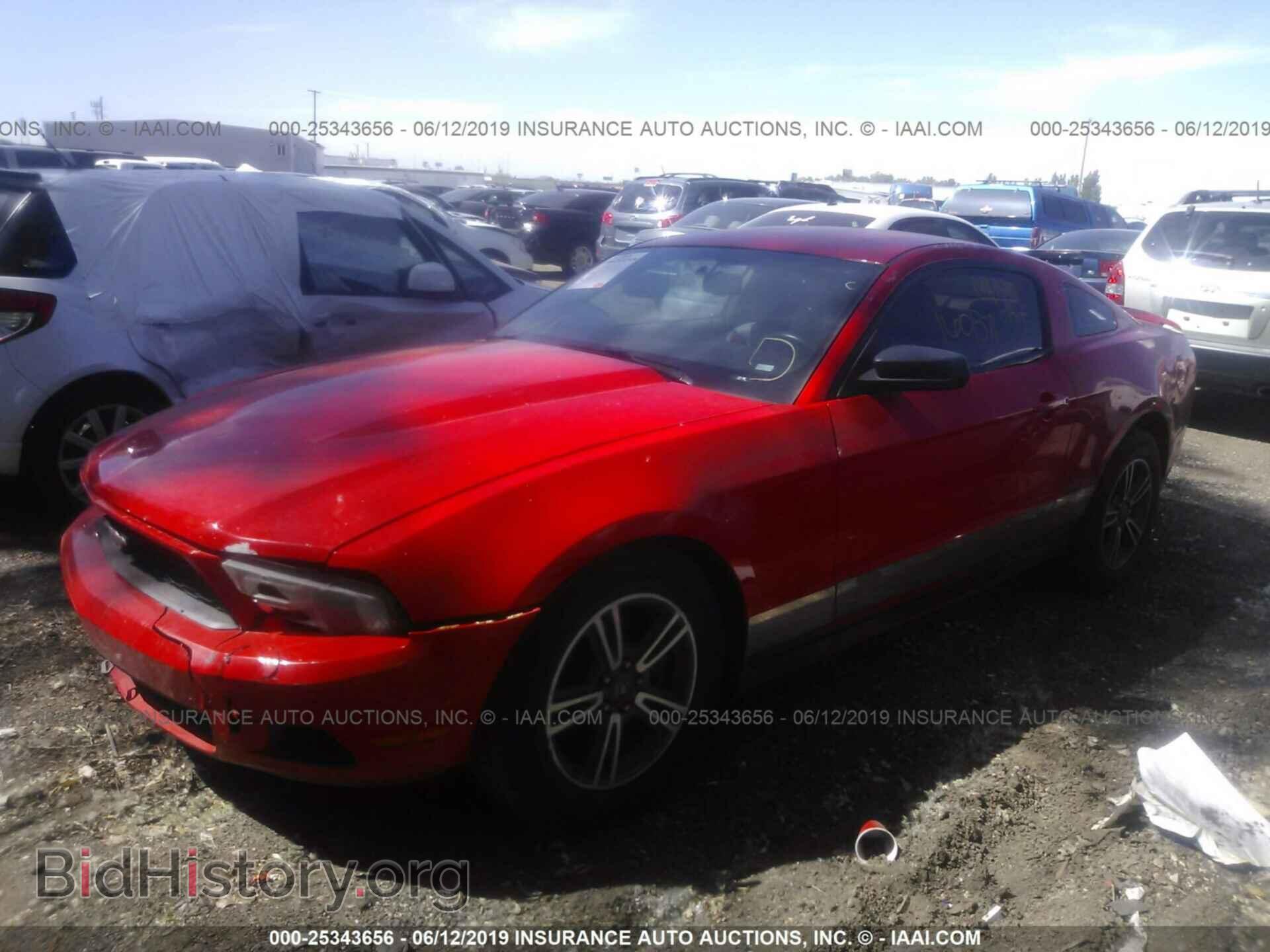 2011 FORD MUSTANG - VIN: 1ZVBP8AM2B5120776 - Фото 2