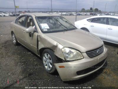 2008 Kia OPTIMA LX/EX, gold — VIN KNAGE124985170830, IAAI